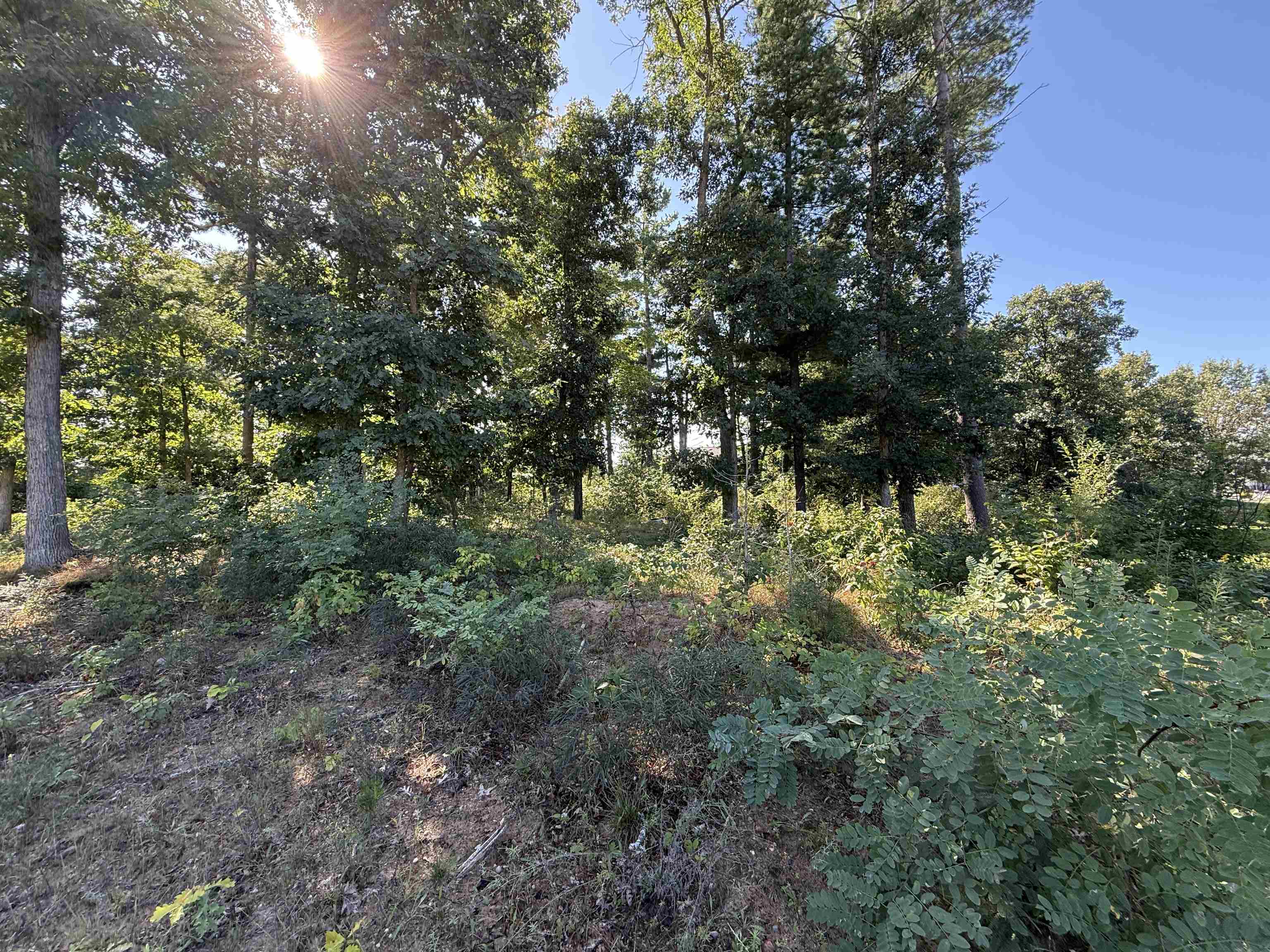 1005 JEREMY COURT Property Photo 1