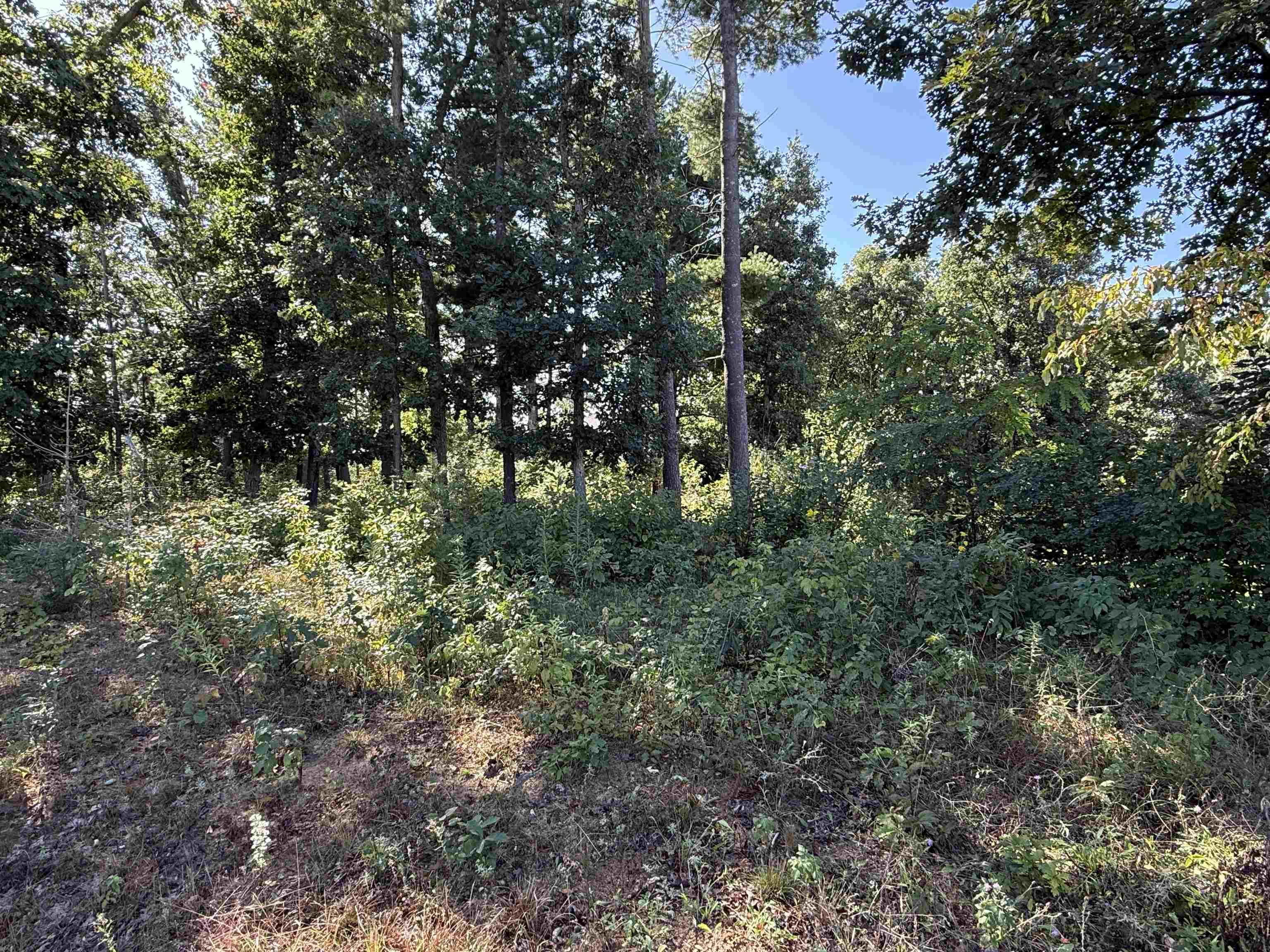 1005 Jeremy Court Property Photo 2