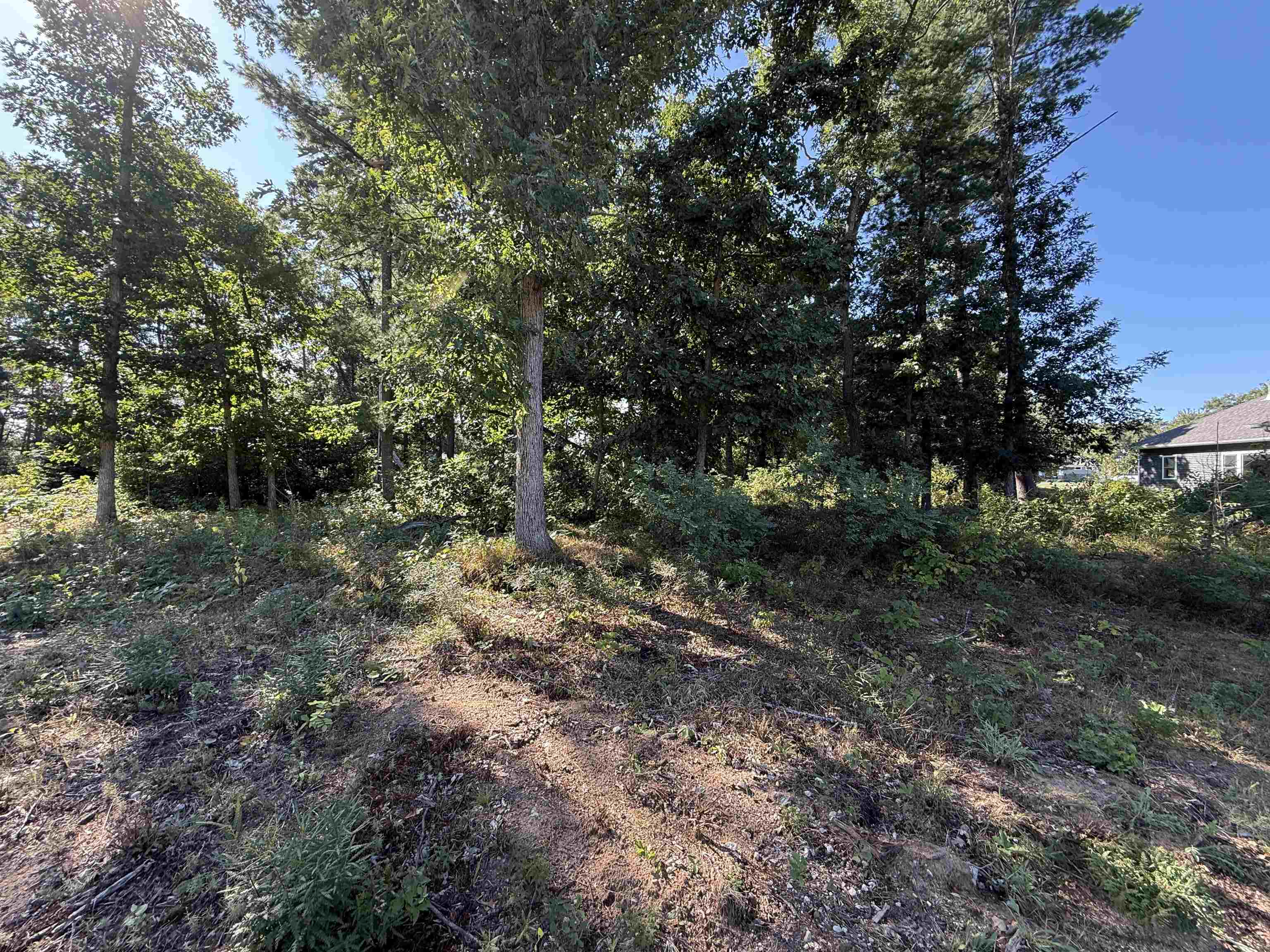1005 Jeremy Court Property Photo 3