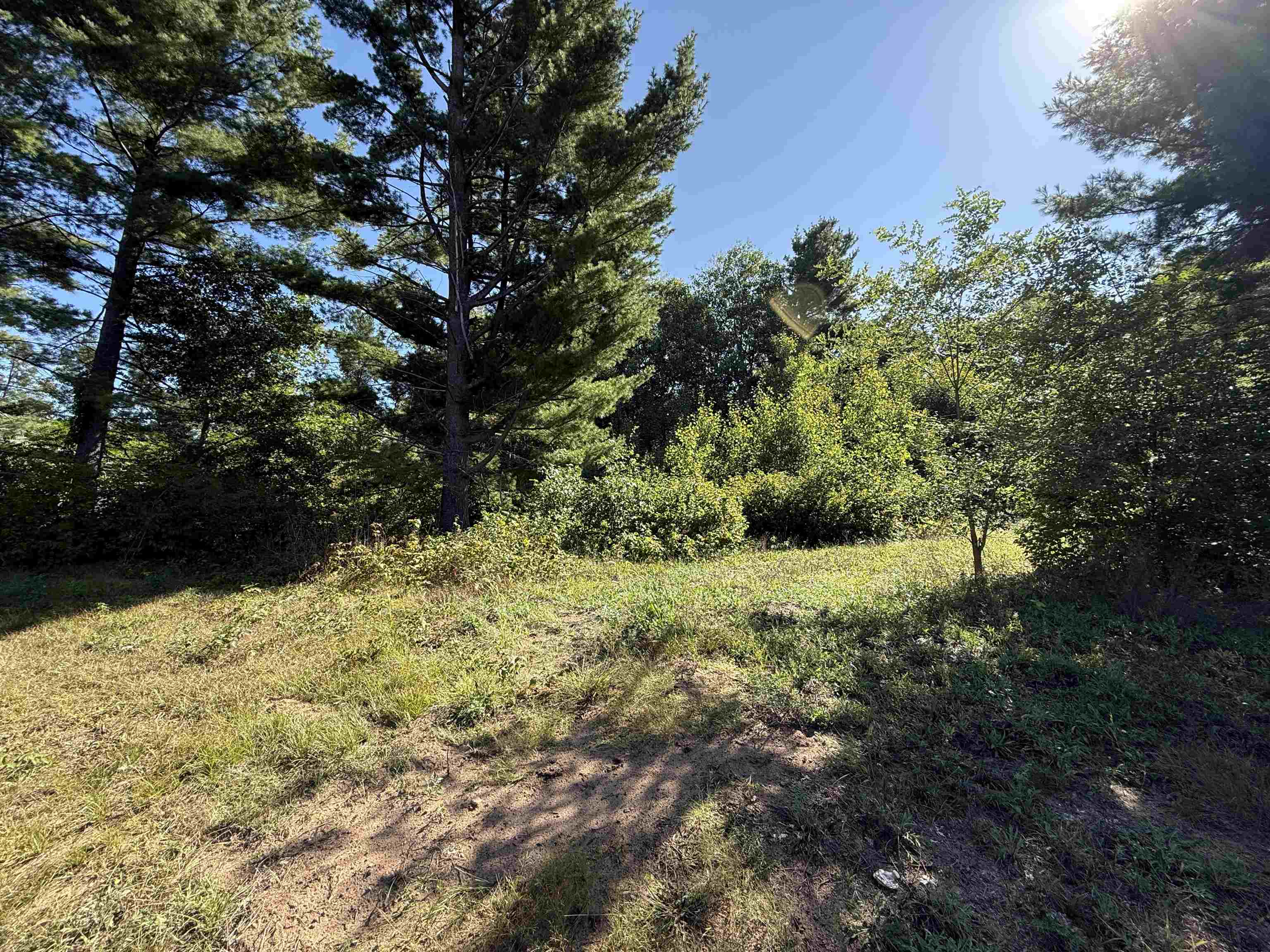 1015 Jeremy Court Property Photo 2
