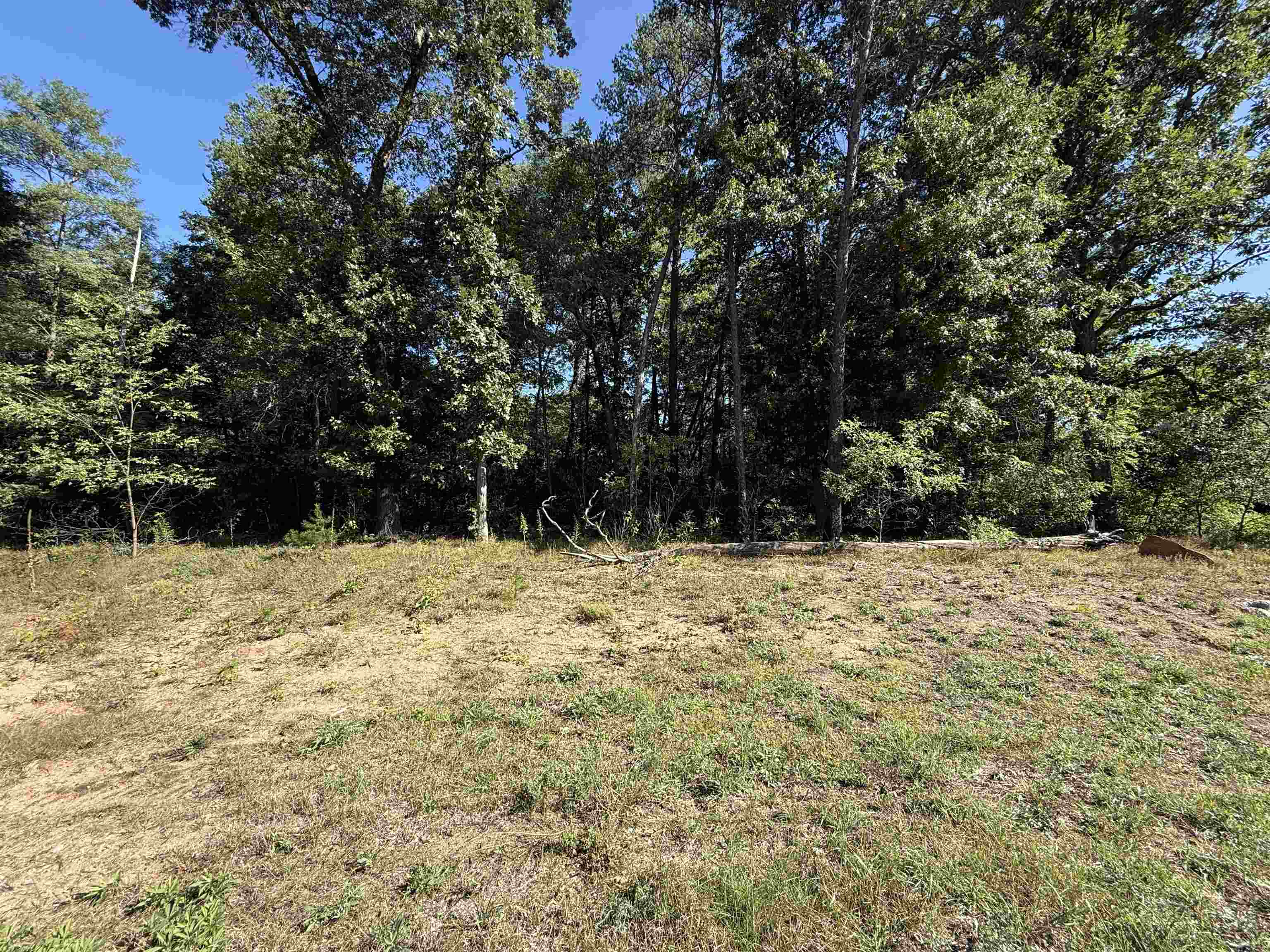 1035 JEREMY COURT Property Photo 1