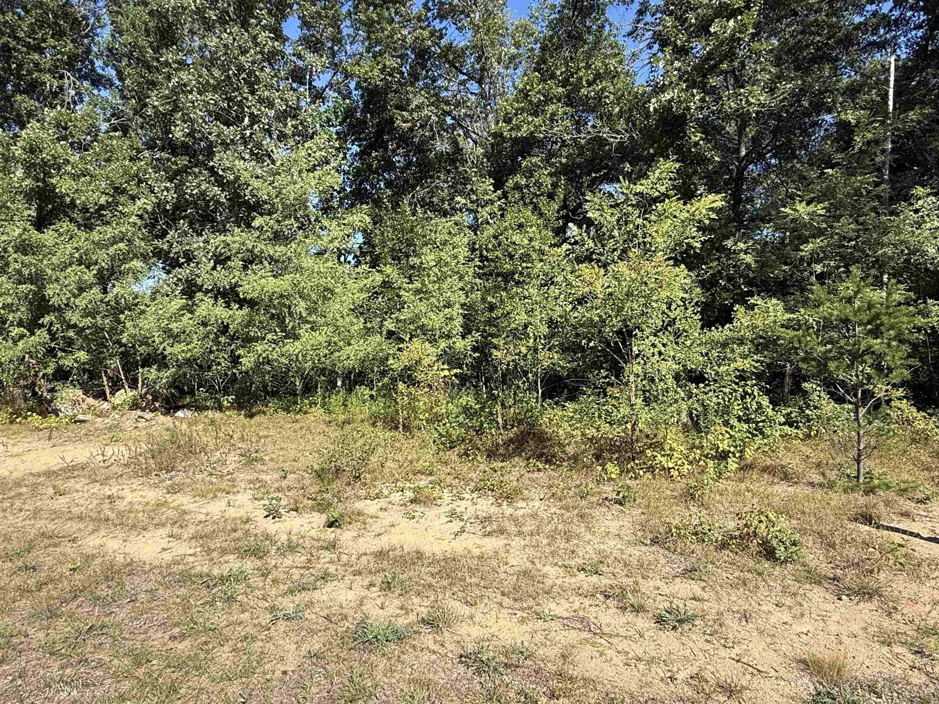 1035 Jeremy Court Property Photo 3