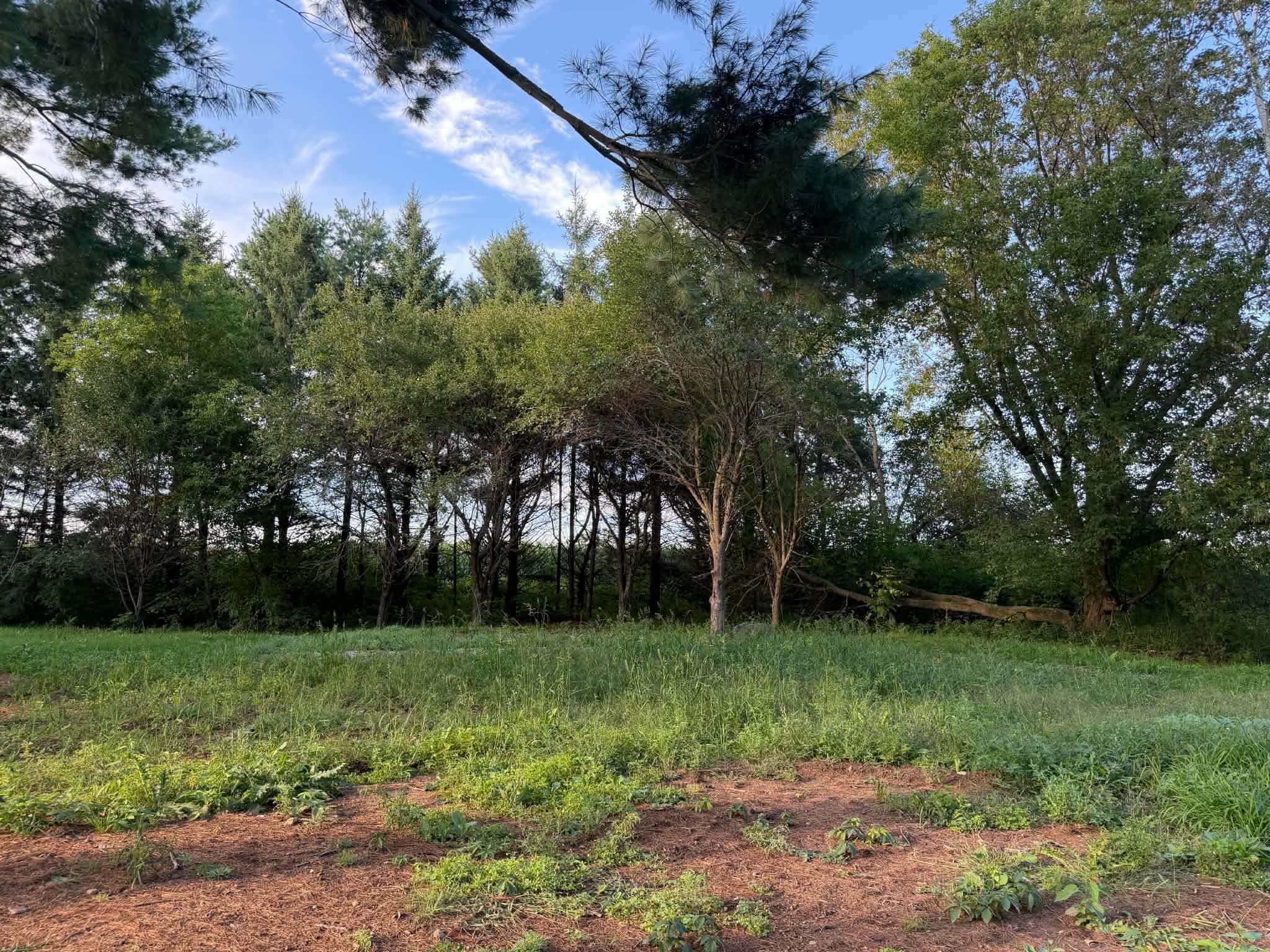 240179 Mitchell Lane Property Photo 41