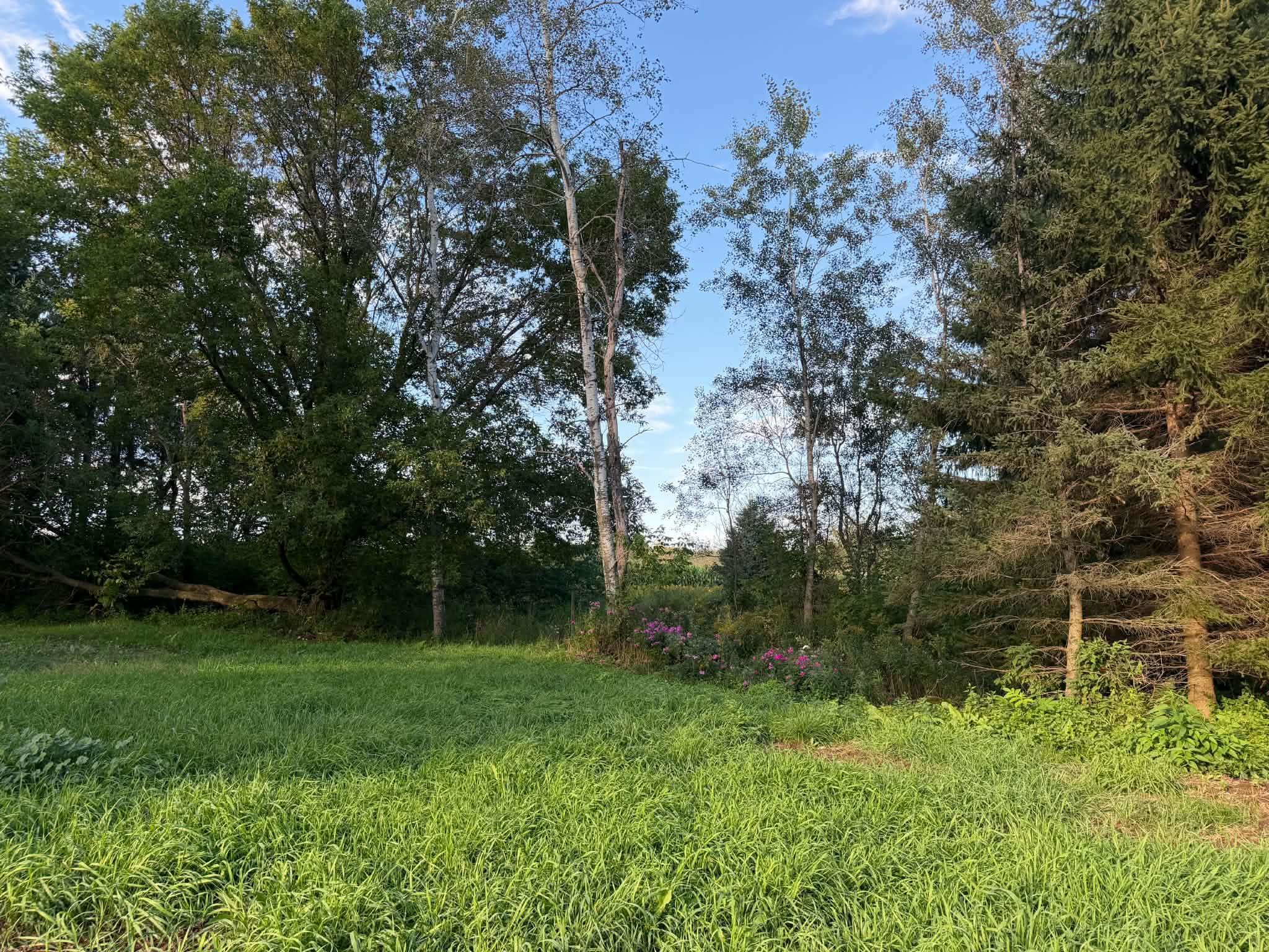 240179 Mitchell Lane Property Photo 43