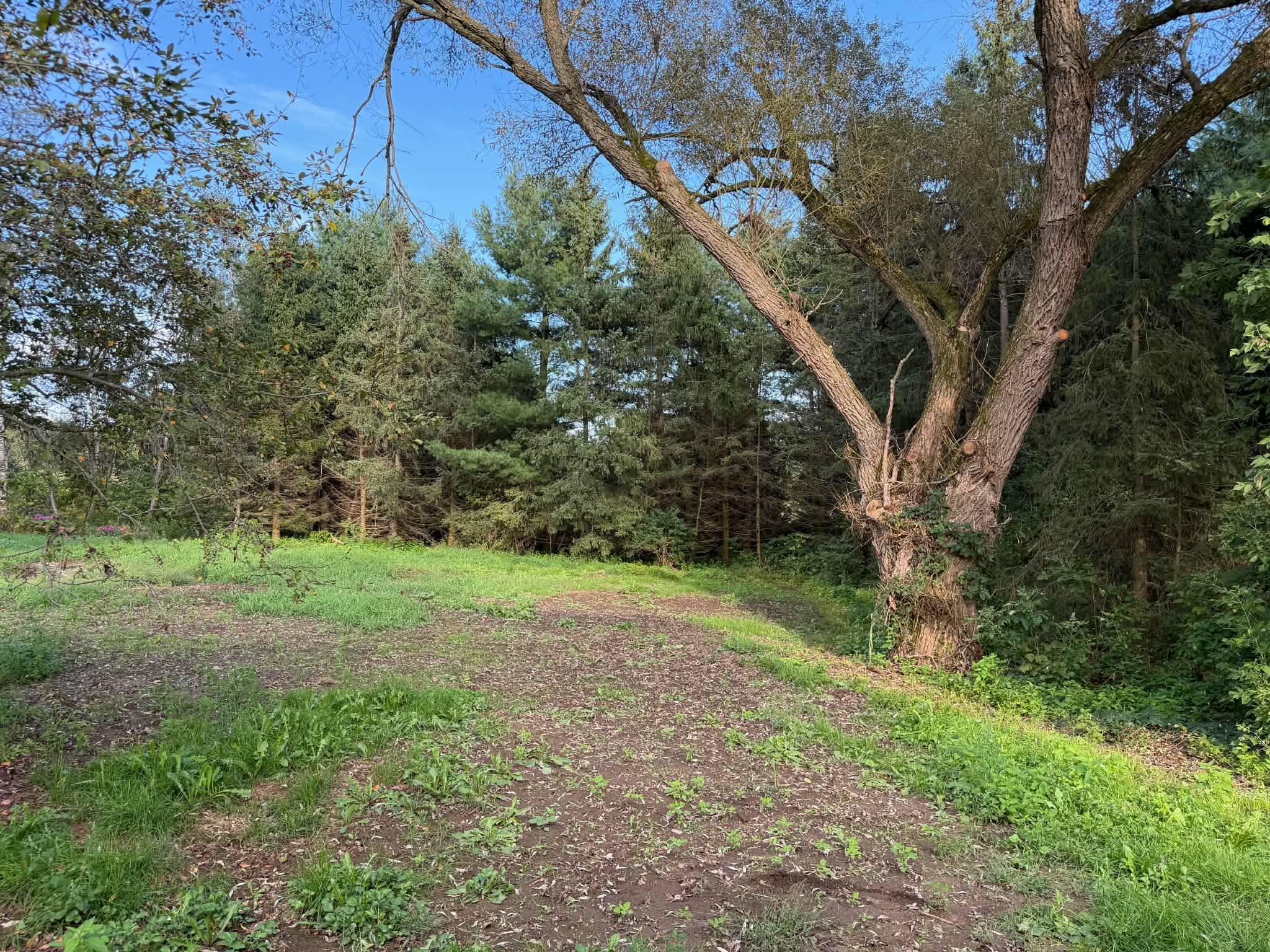 240179 Mitchell Lane Property Photo 44