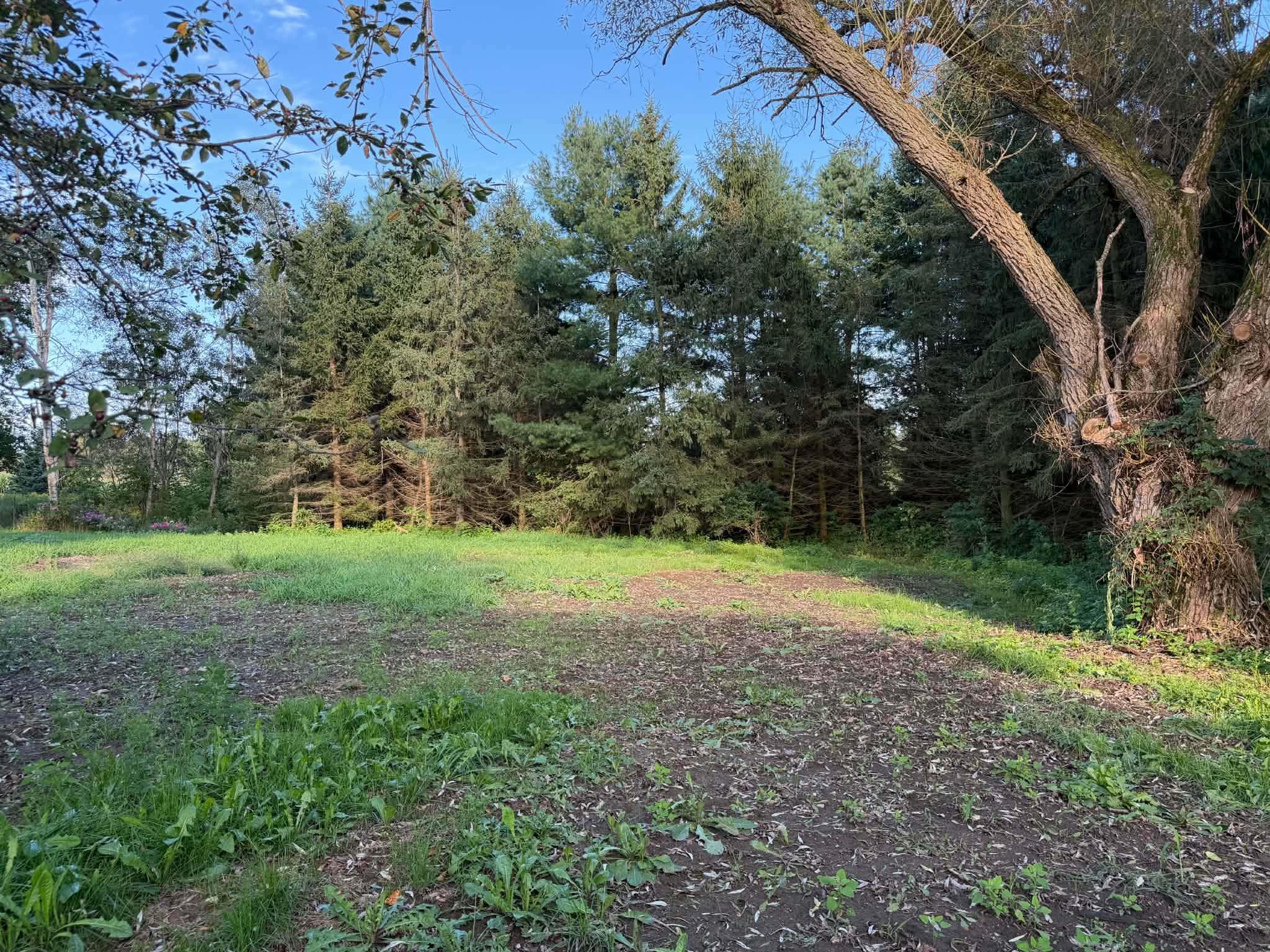240179 Mitchell Lane Property Photo 45