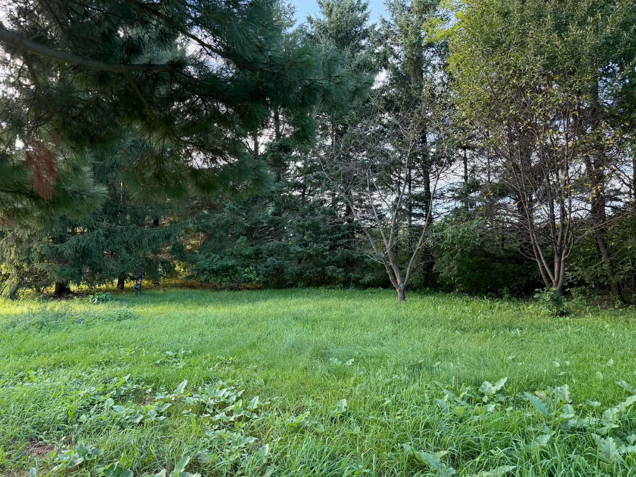 240179 Mitchell Lane Property Photo 46