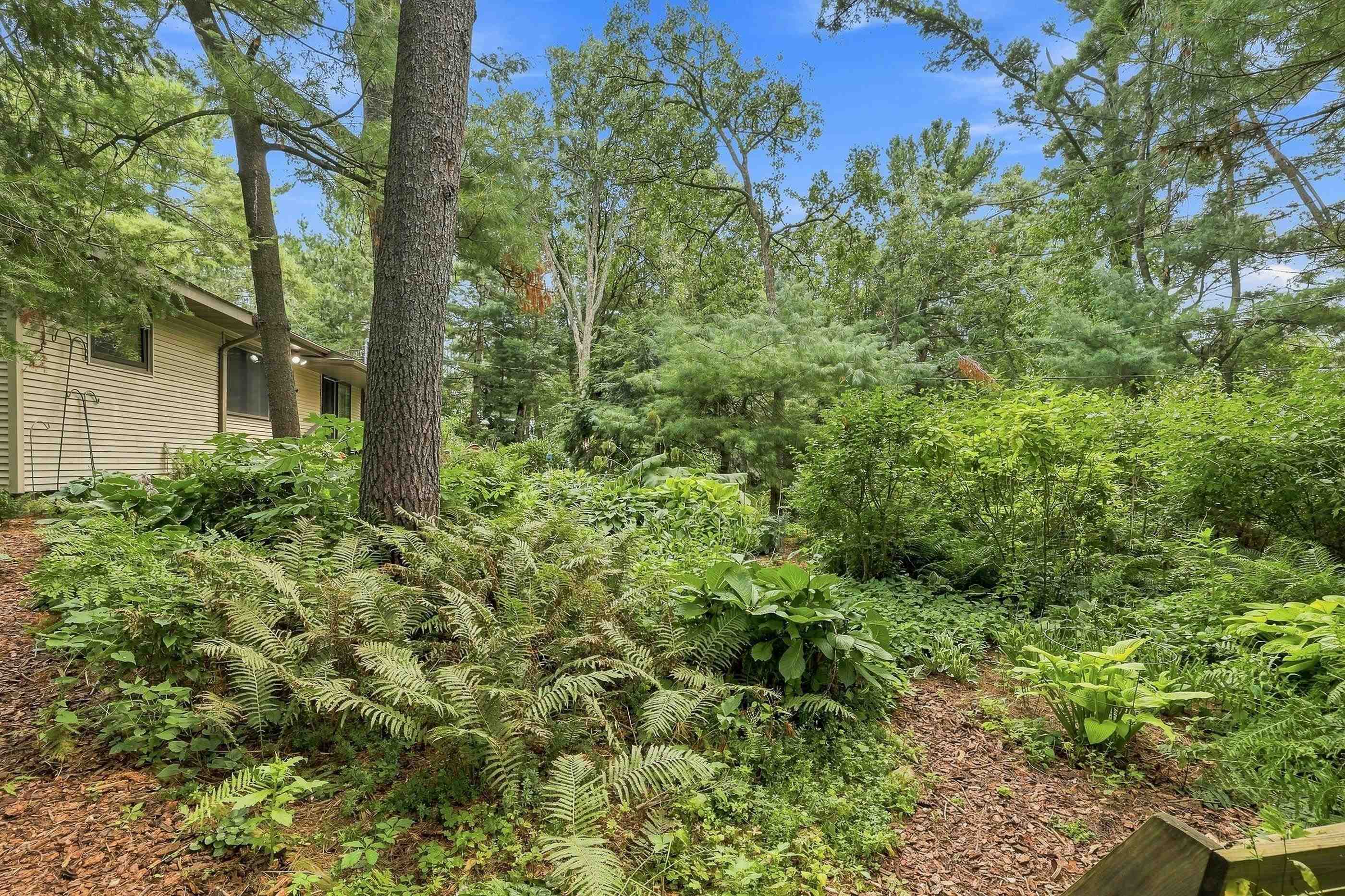 2421 Magnolia Drive Property Photo 40
