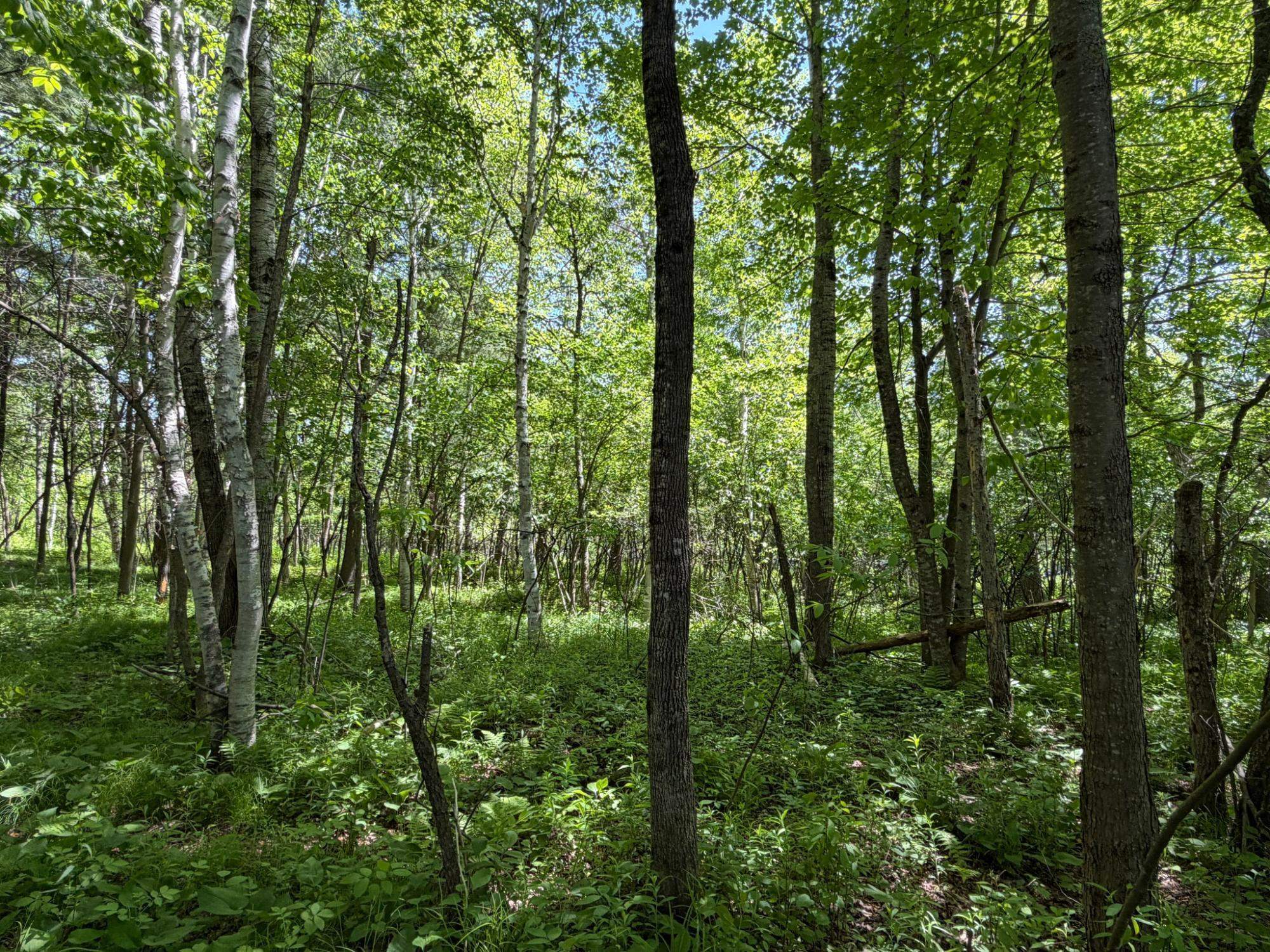 N9076 Bridge Road Property Photo 60