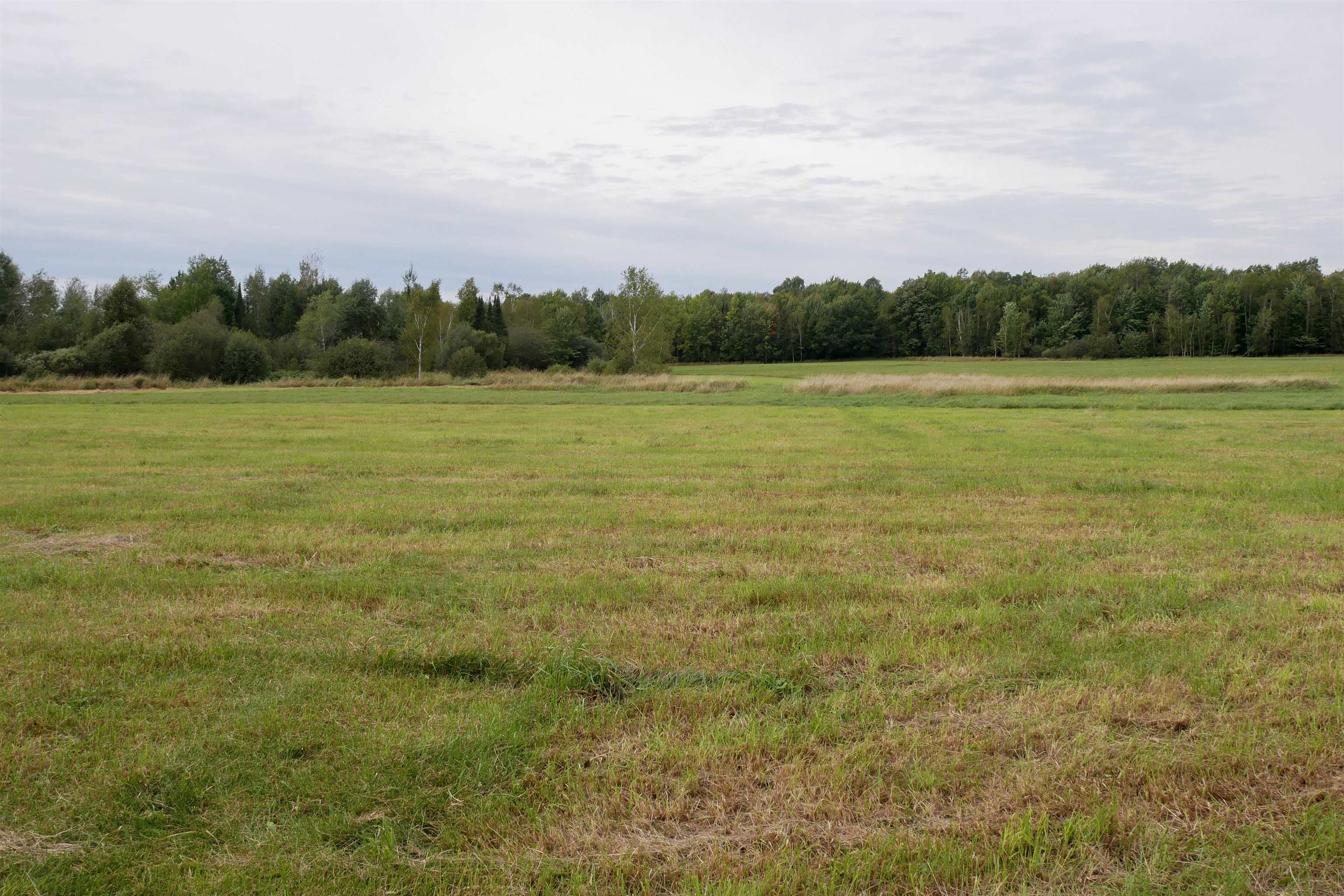 +/-36.29 Acres Oriole Drive Property Photo 3