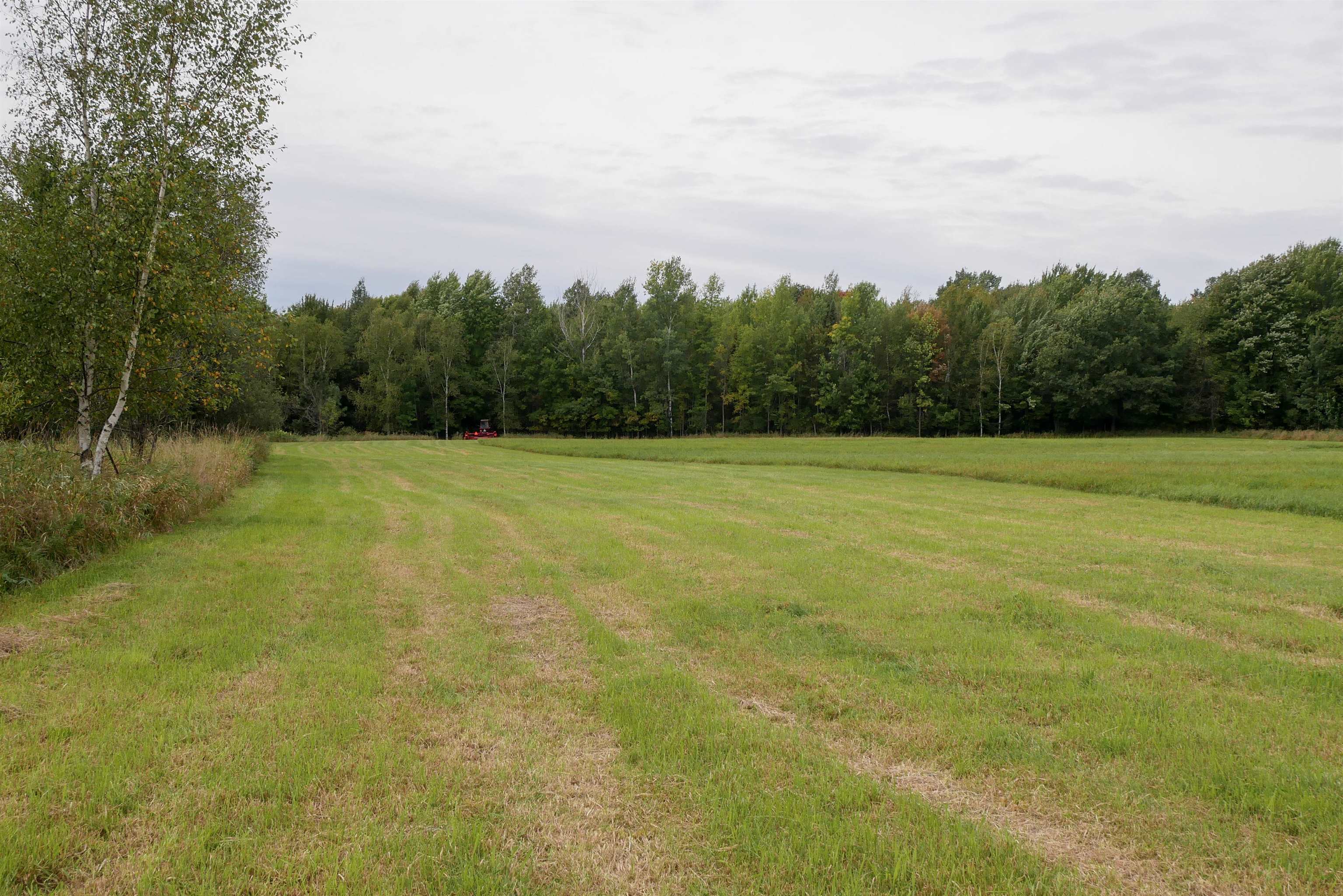 +/-36.29 Acres Oriole Drive Property Photo 4
