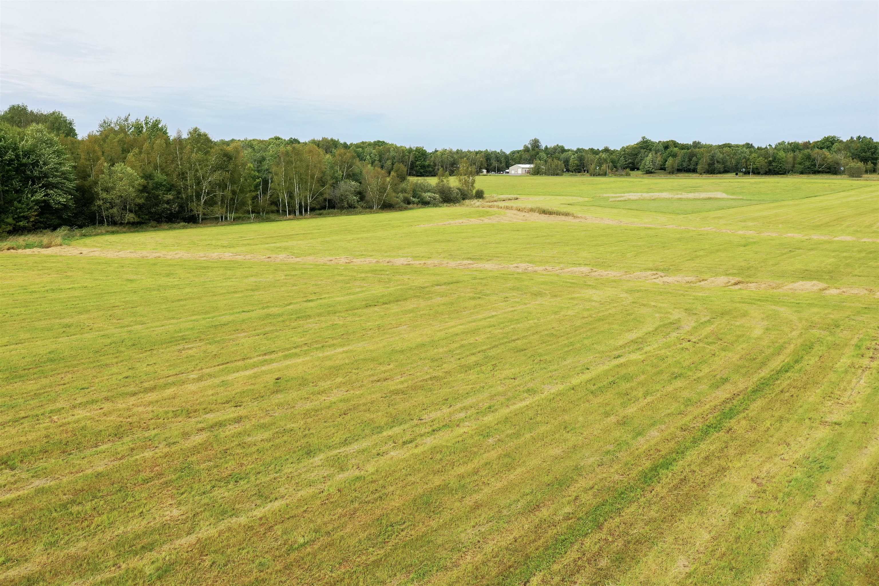 +/-36.29 Acres Oriole Drive Property Photo 10