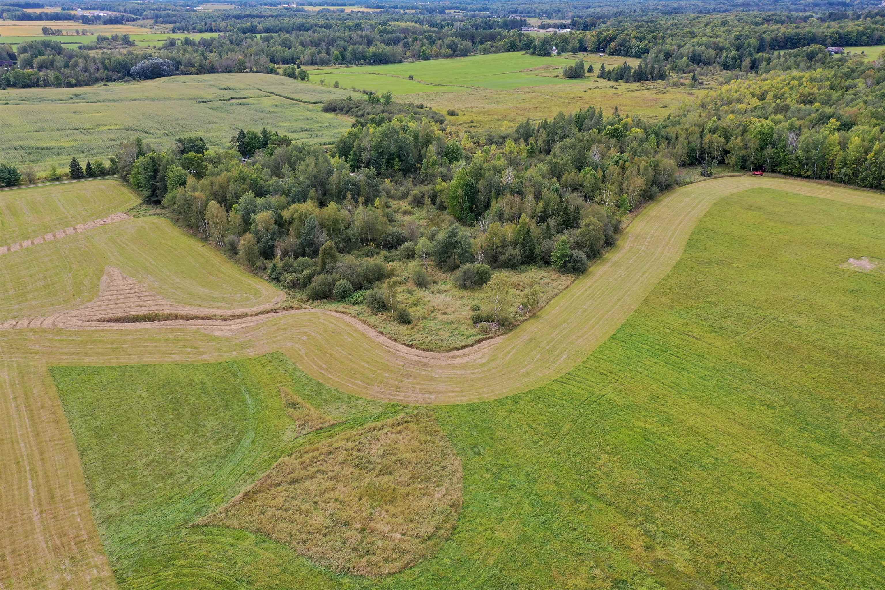 +/-36.29 Acres Oriole Drive Property Photo 11