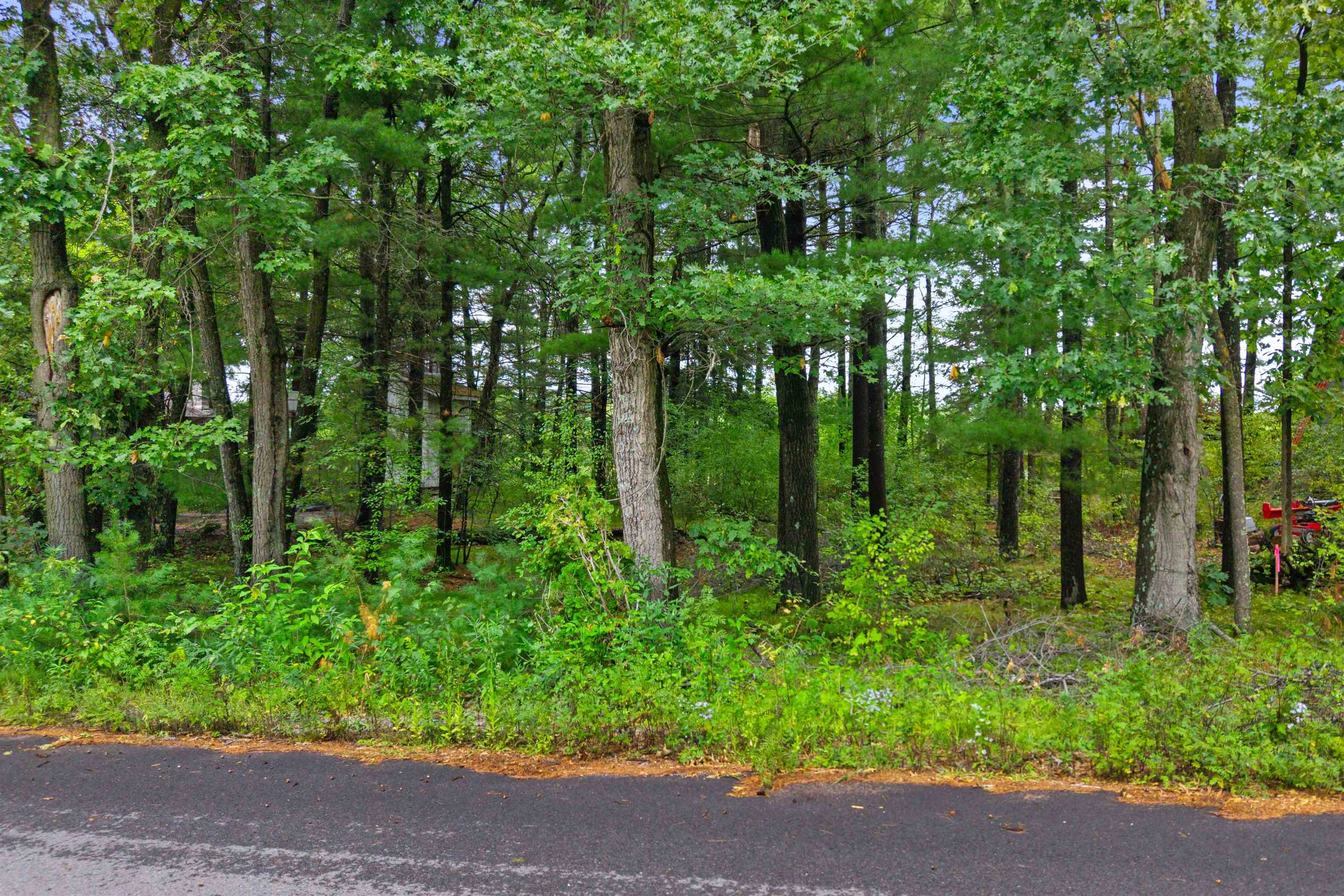 0 Half Moon Lake Drive Property Photo 6
