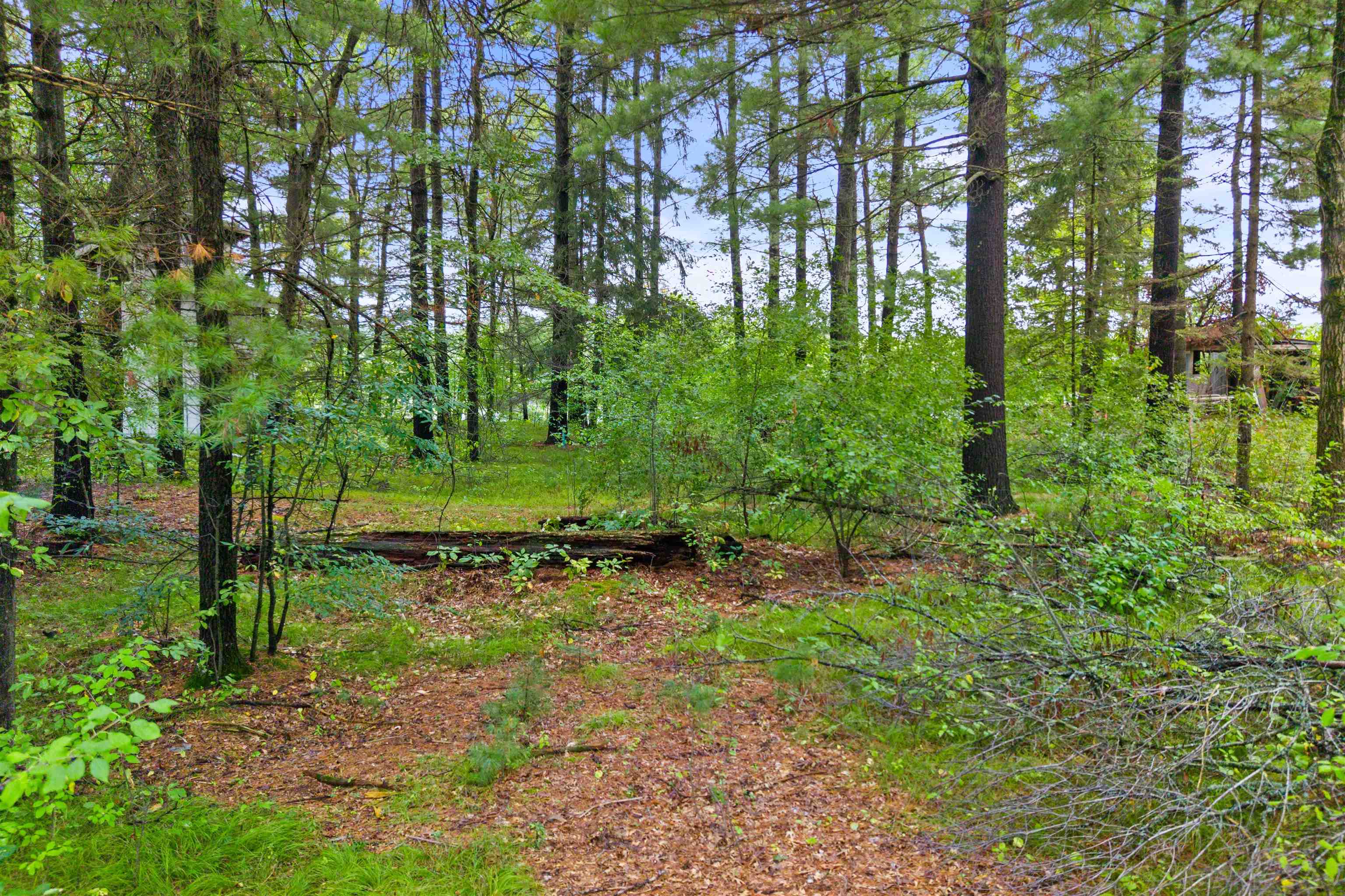 0 Half Moon Lake Drive Property Photo 7