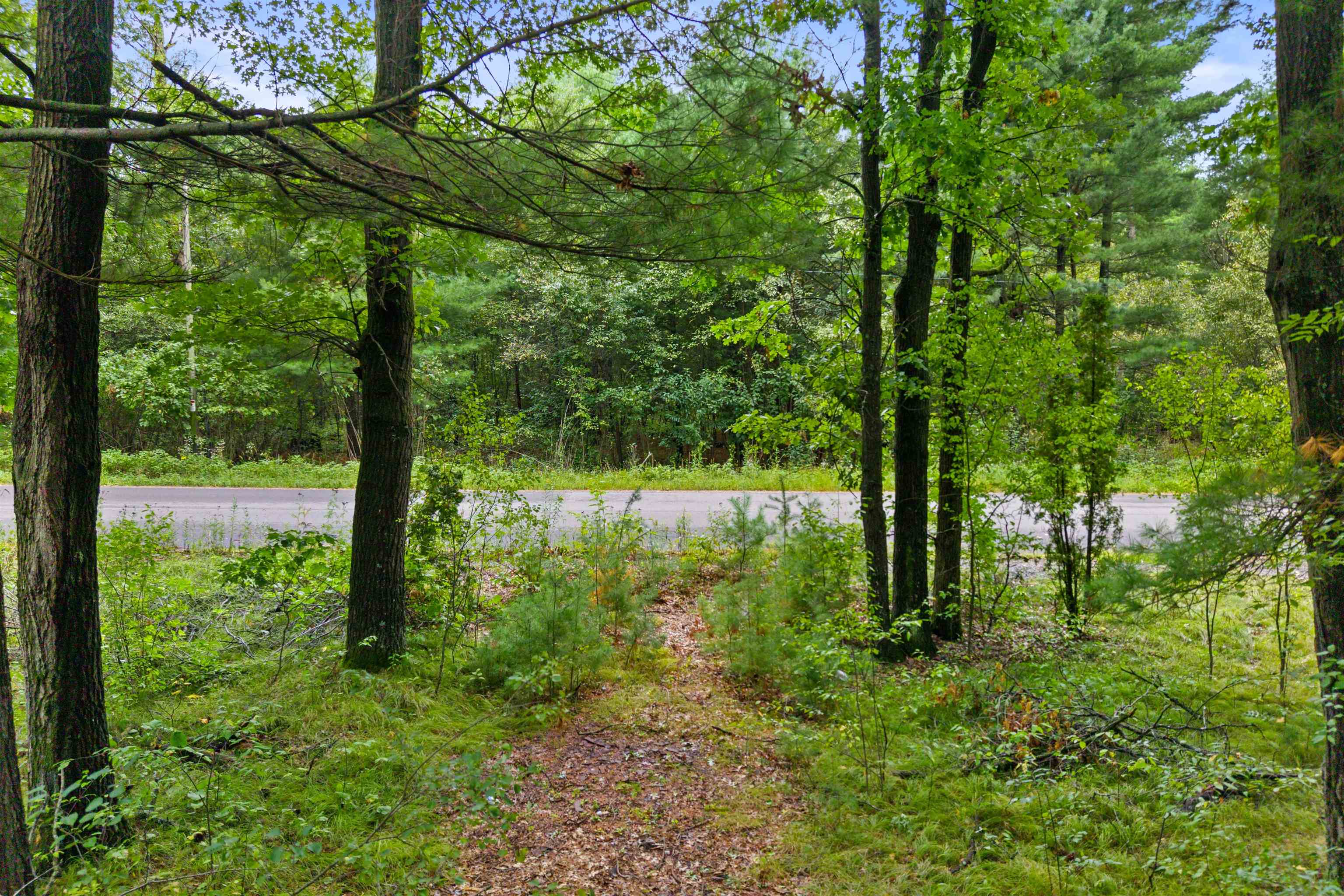 0 Half Moon Lake Drive Property Photo 8