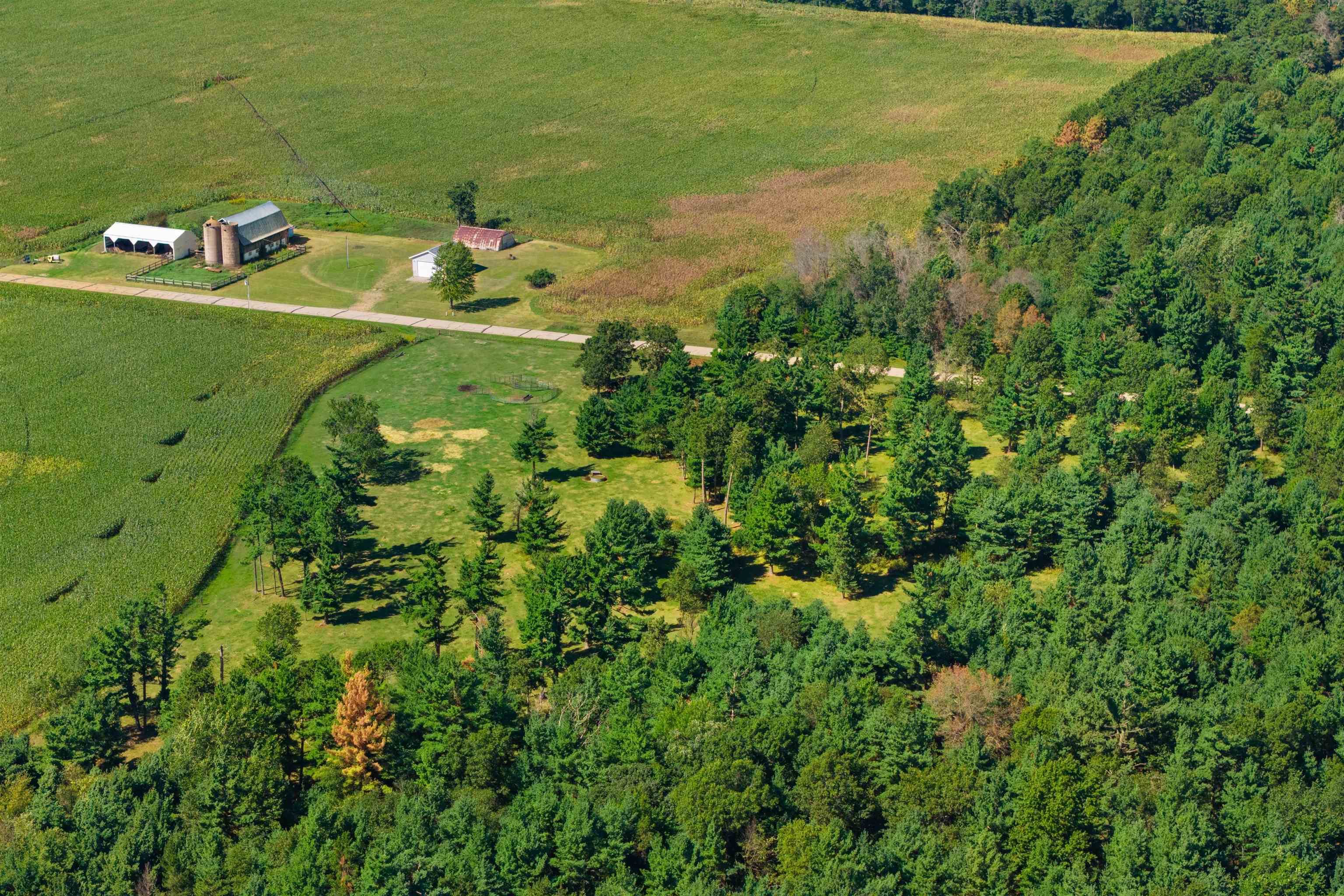 36.48 Acres Mol Grant Street Property Photo 7