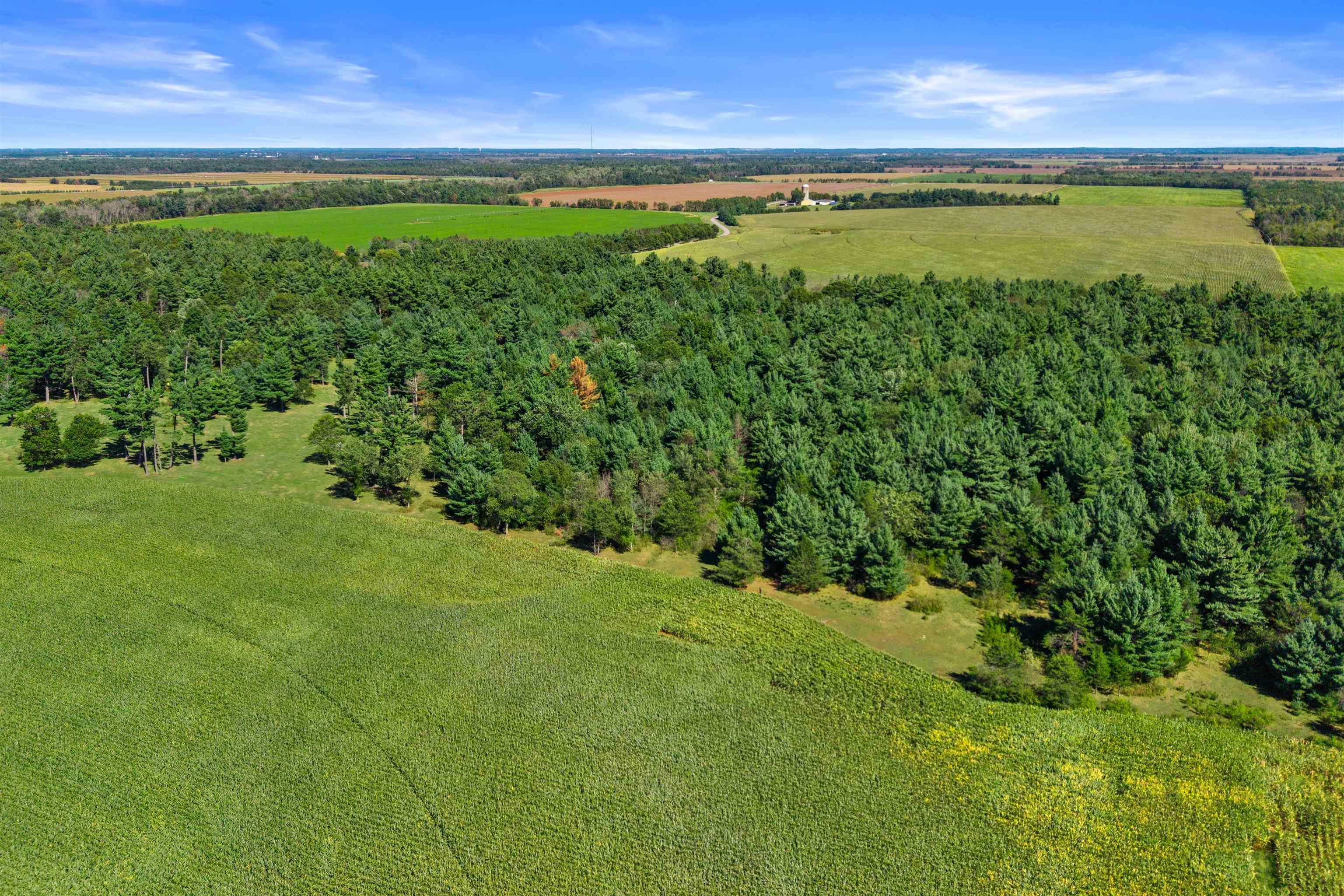 36.48 Acres Mol Grant Street Property Photo 8