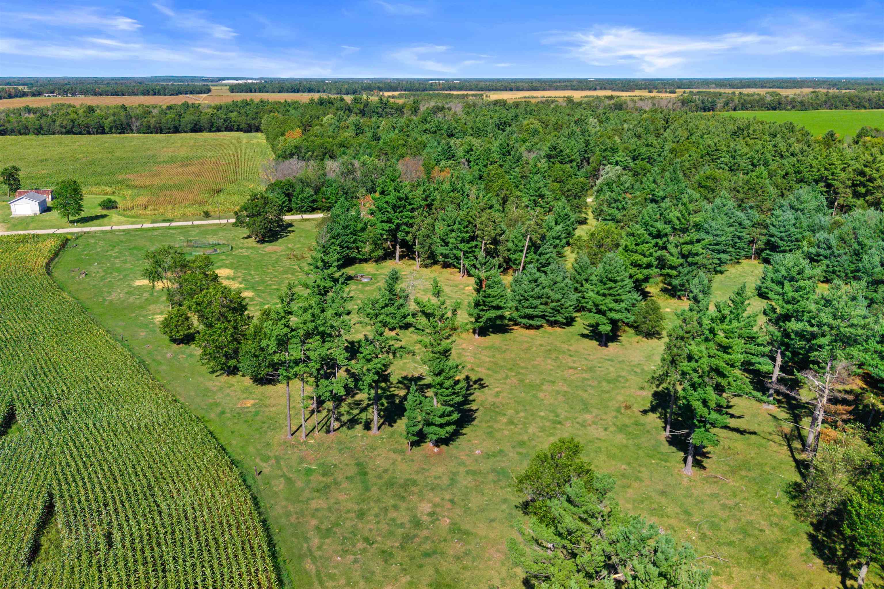 36.48 Acres Mol Grant Street Property Photo 9