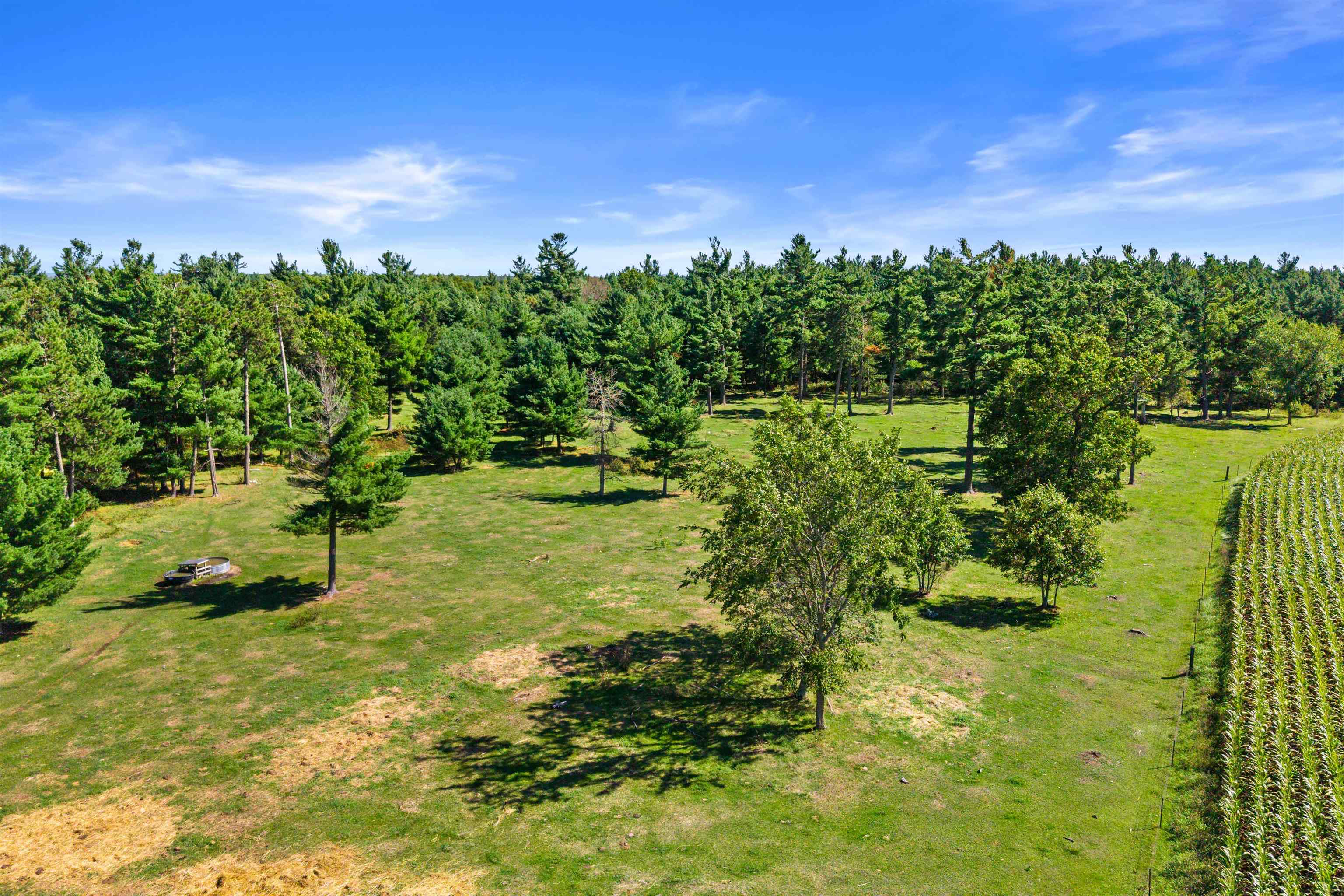 36.48 Acres Mol Grant Street Property Photo 11