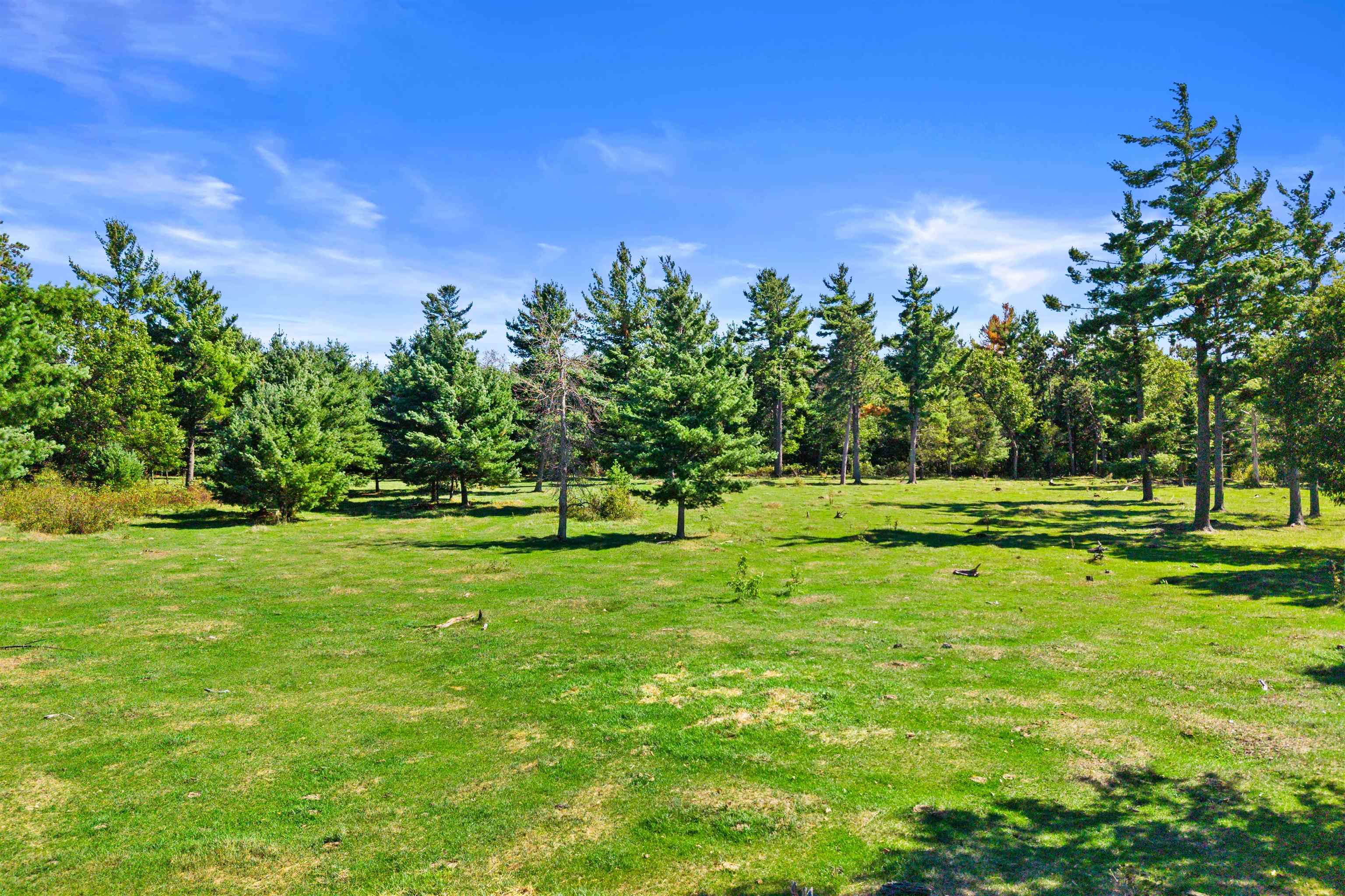 36.48 Acres Mol Grant Street Property Photo 12