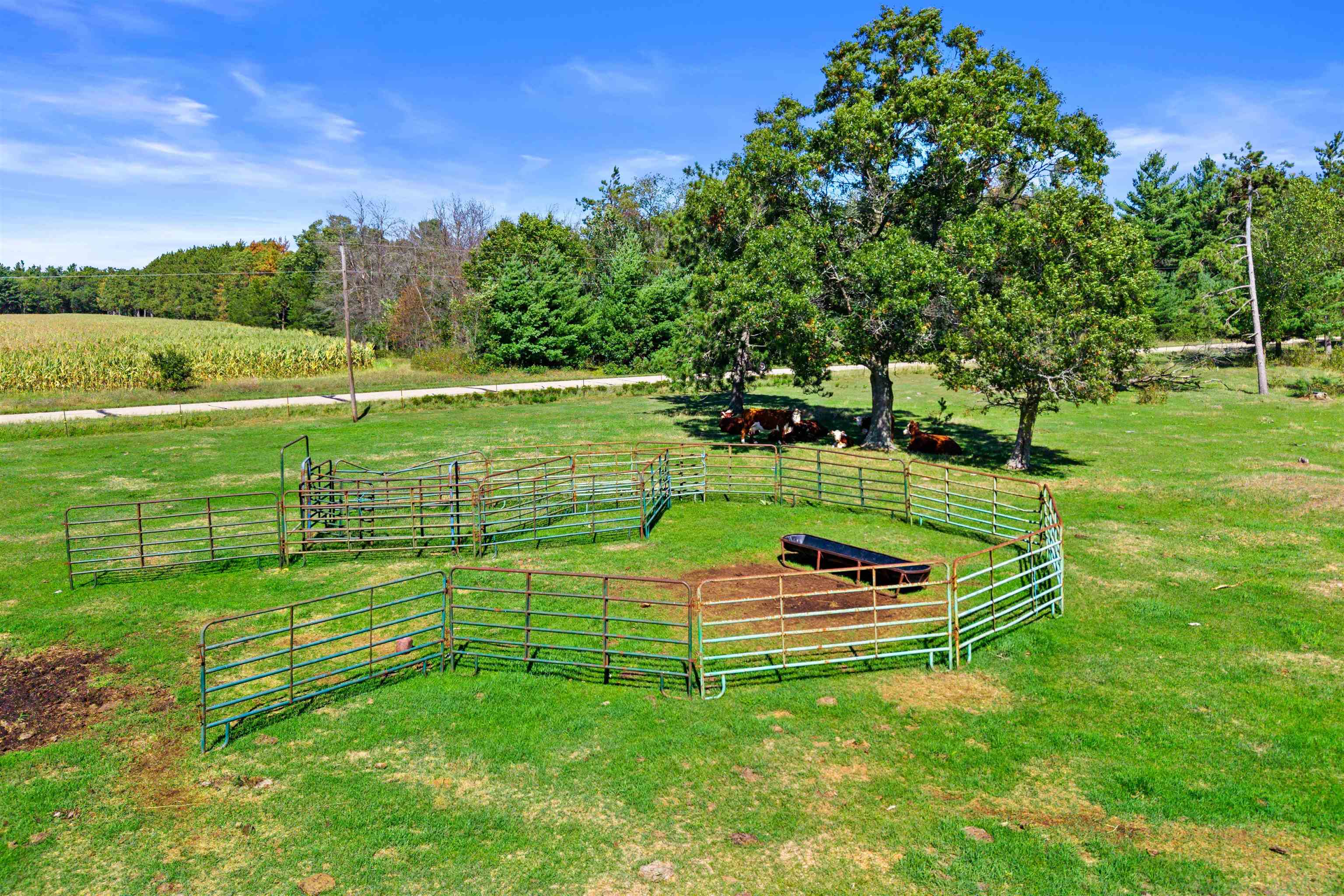 36.48 Acres Mol Grant Street Property Photo 13