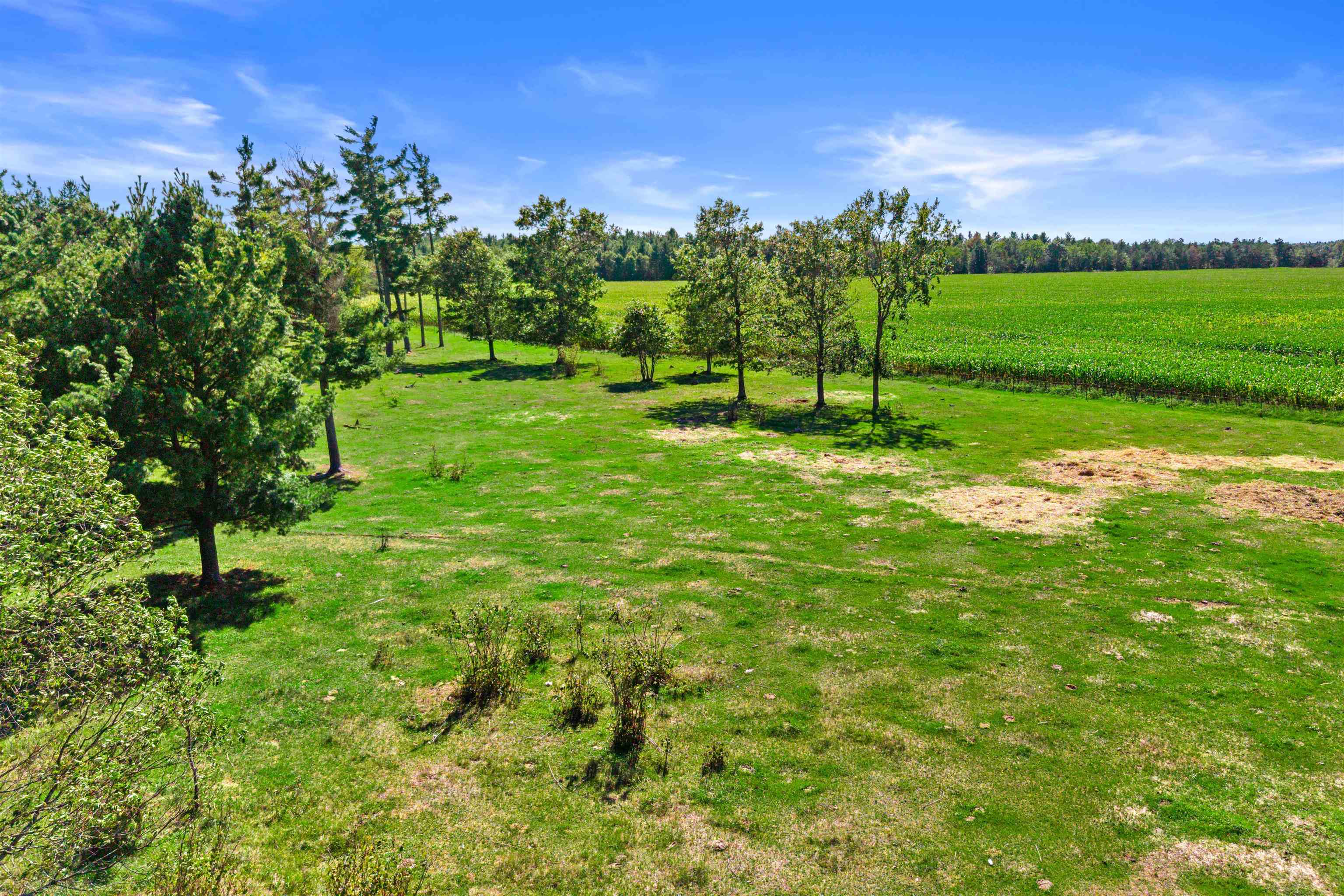 36.48 Acres Mol Grant Street Property Photo 16