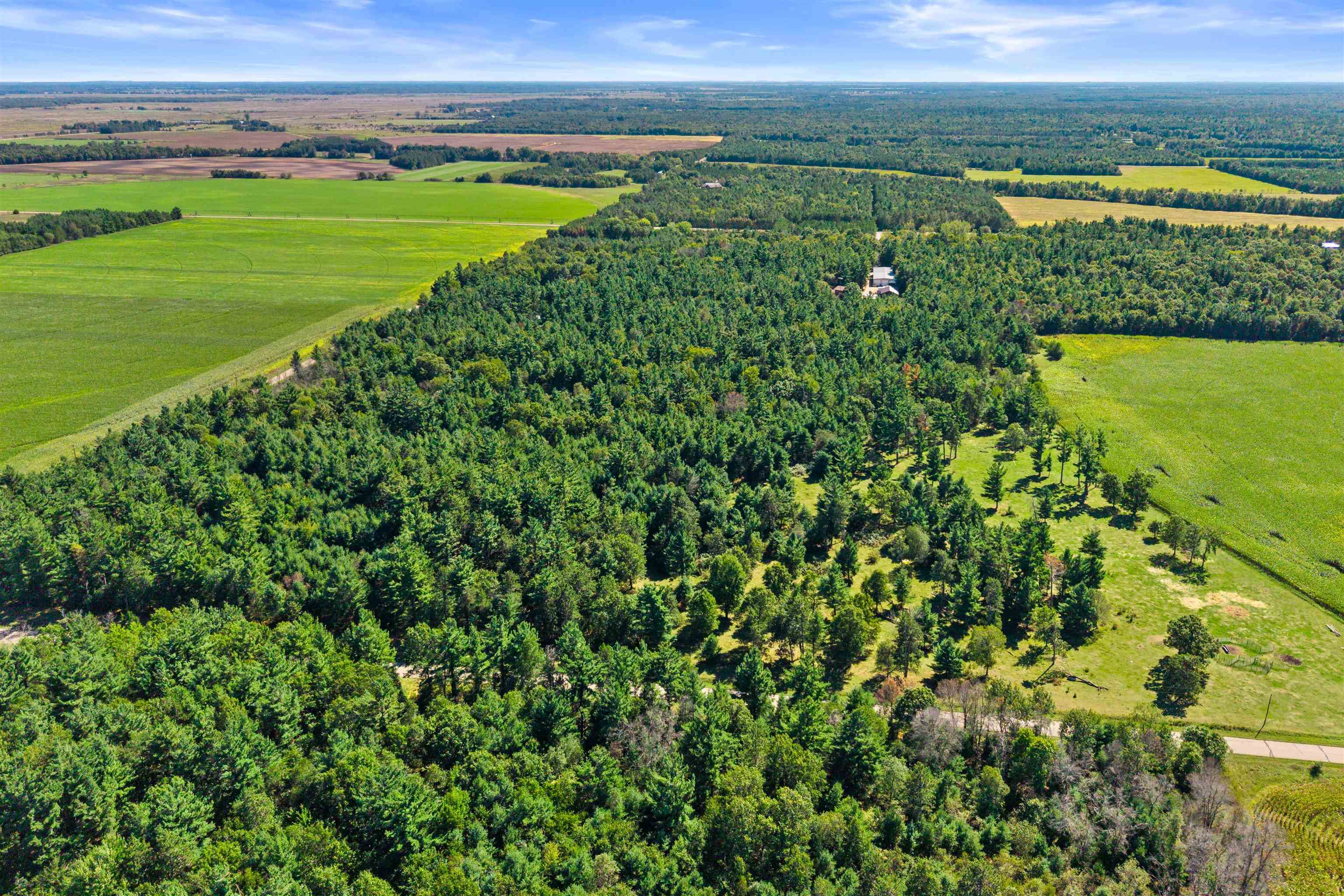 36.48 Acres Mol Grant Street Property Photo 20