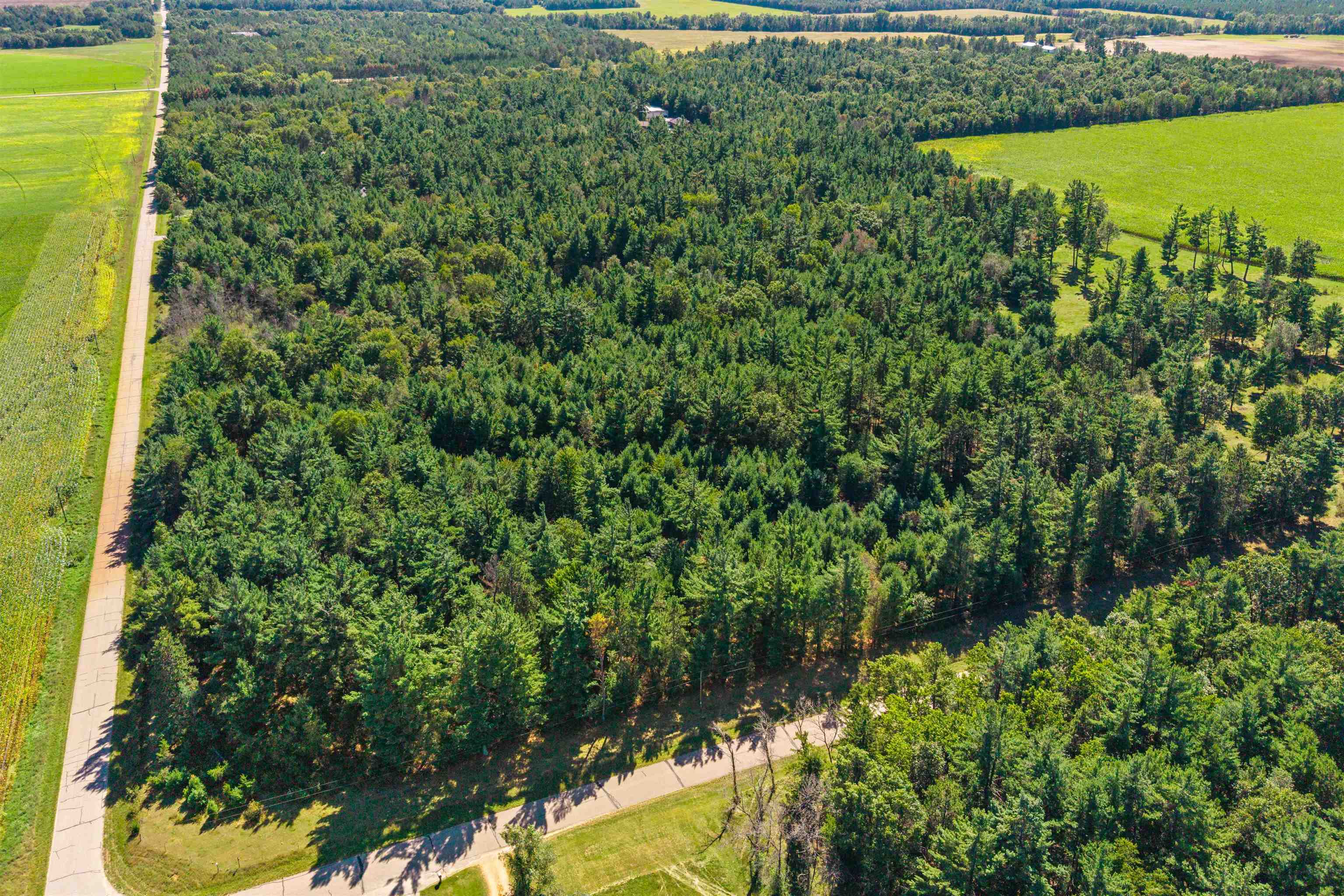 36.48 Acres Mol Grant Street Property Photo 23