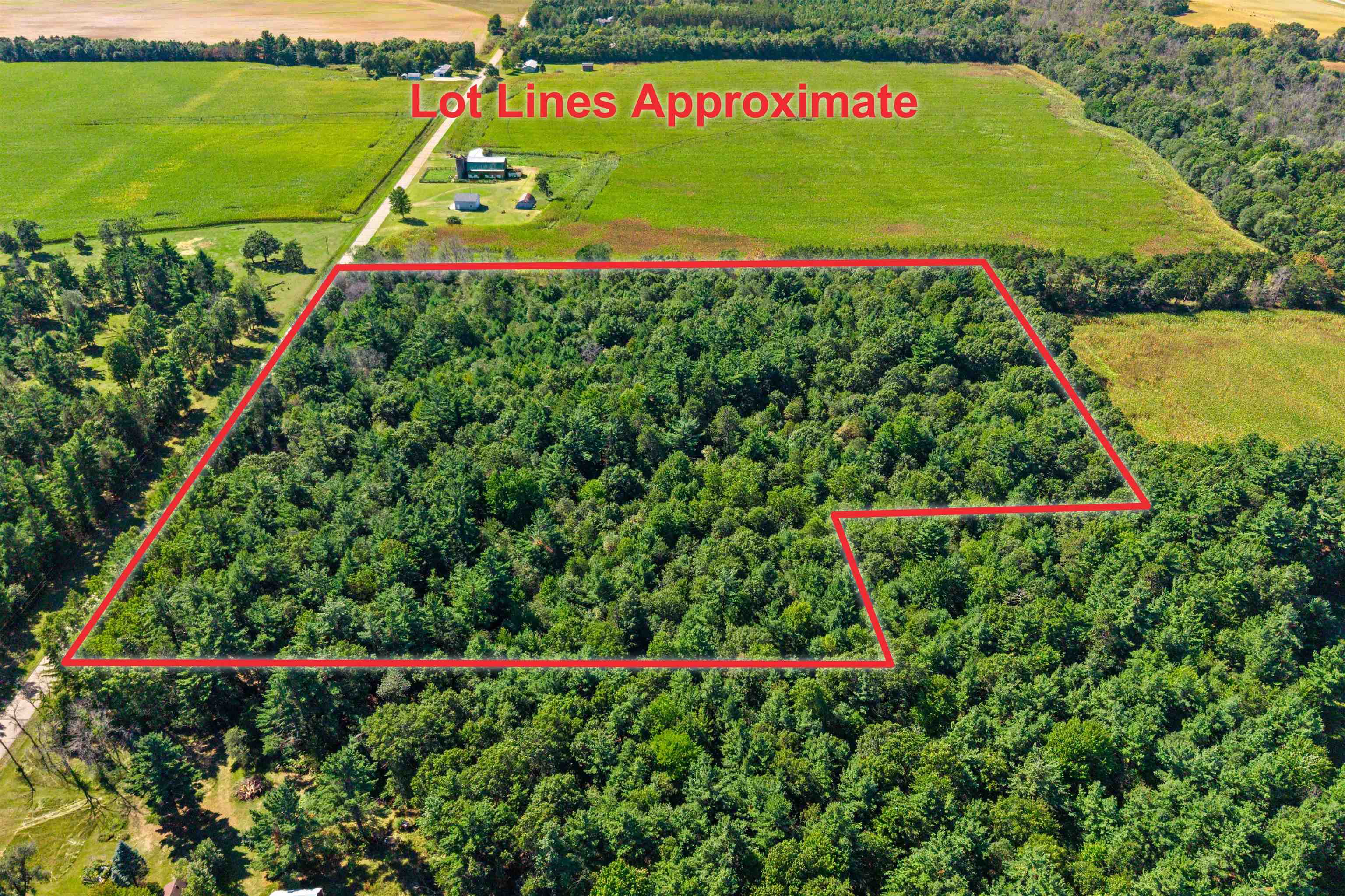 13.95 Acres Mol Grant Street Property Photo 5