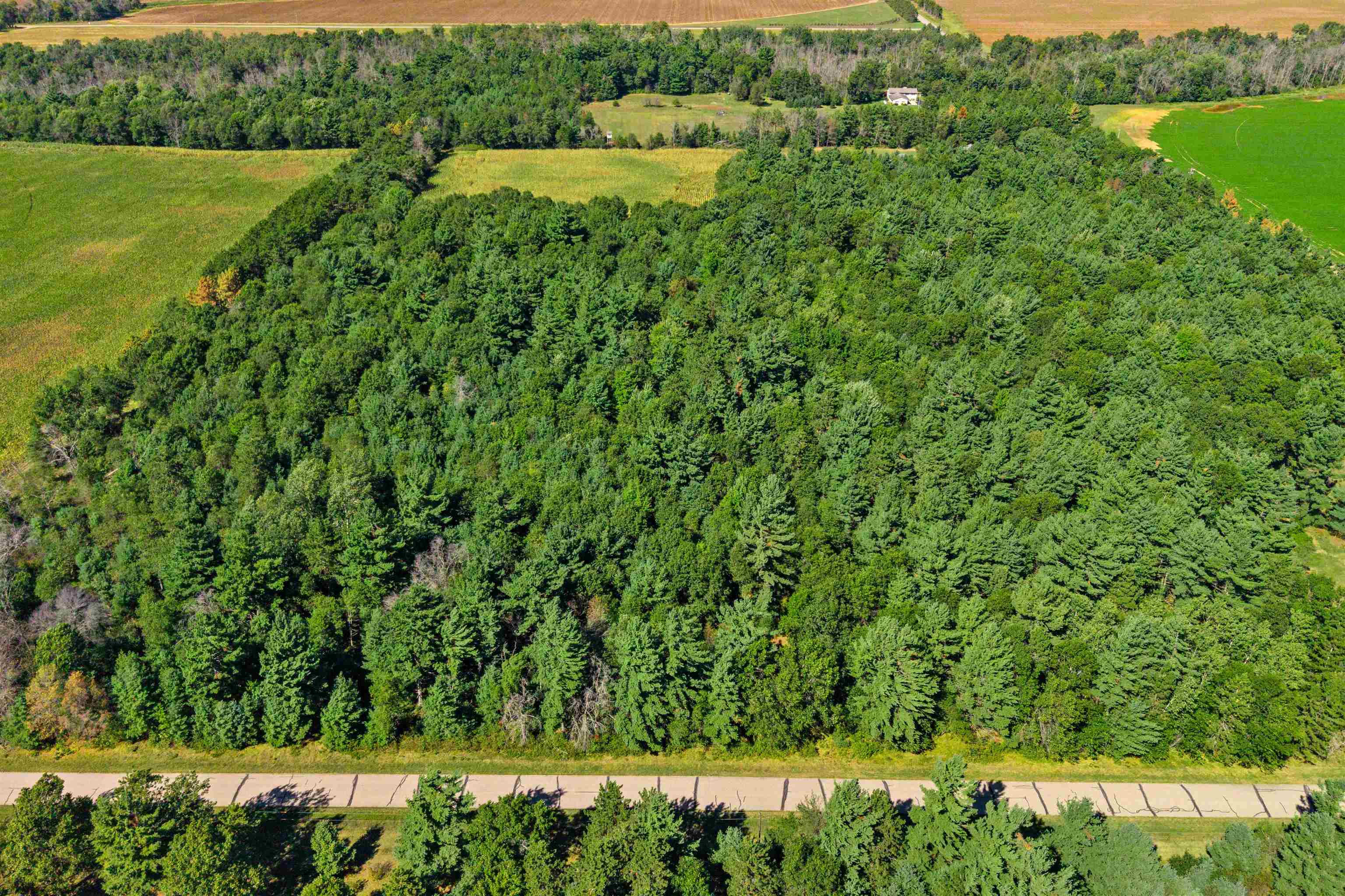13.95 Acres Mol Grant Street Property Photo 6