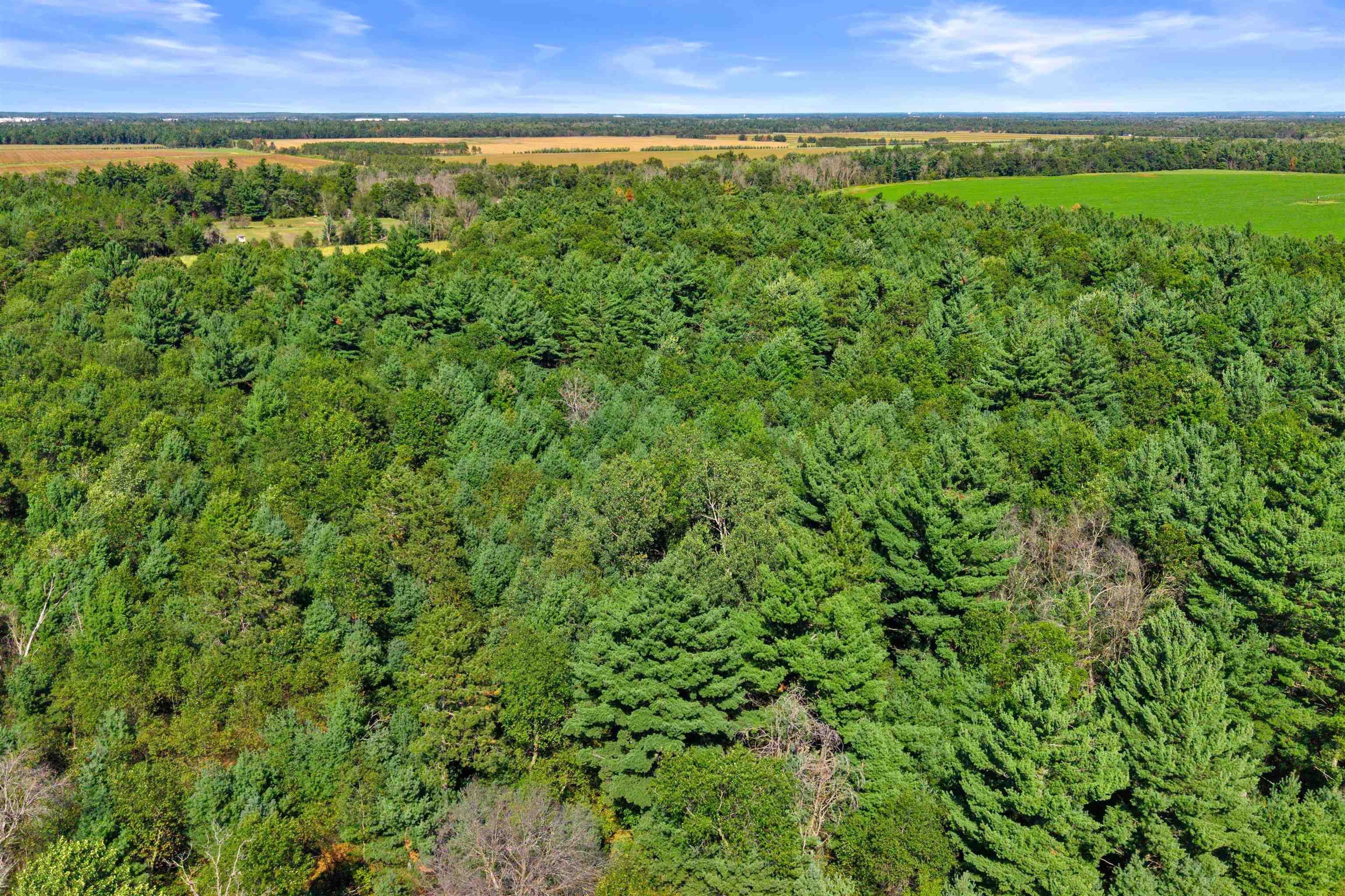 13.95 Acres Mol Grant Street Property Photo 7