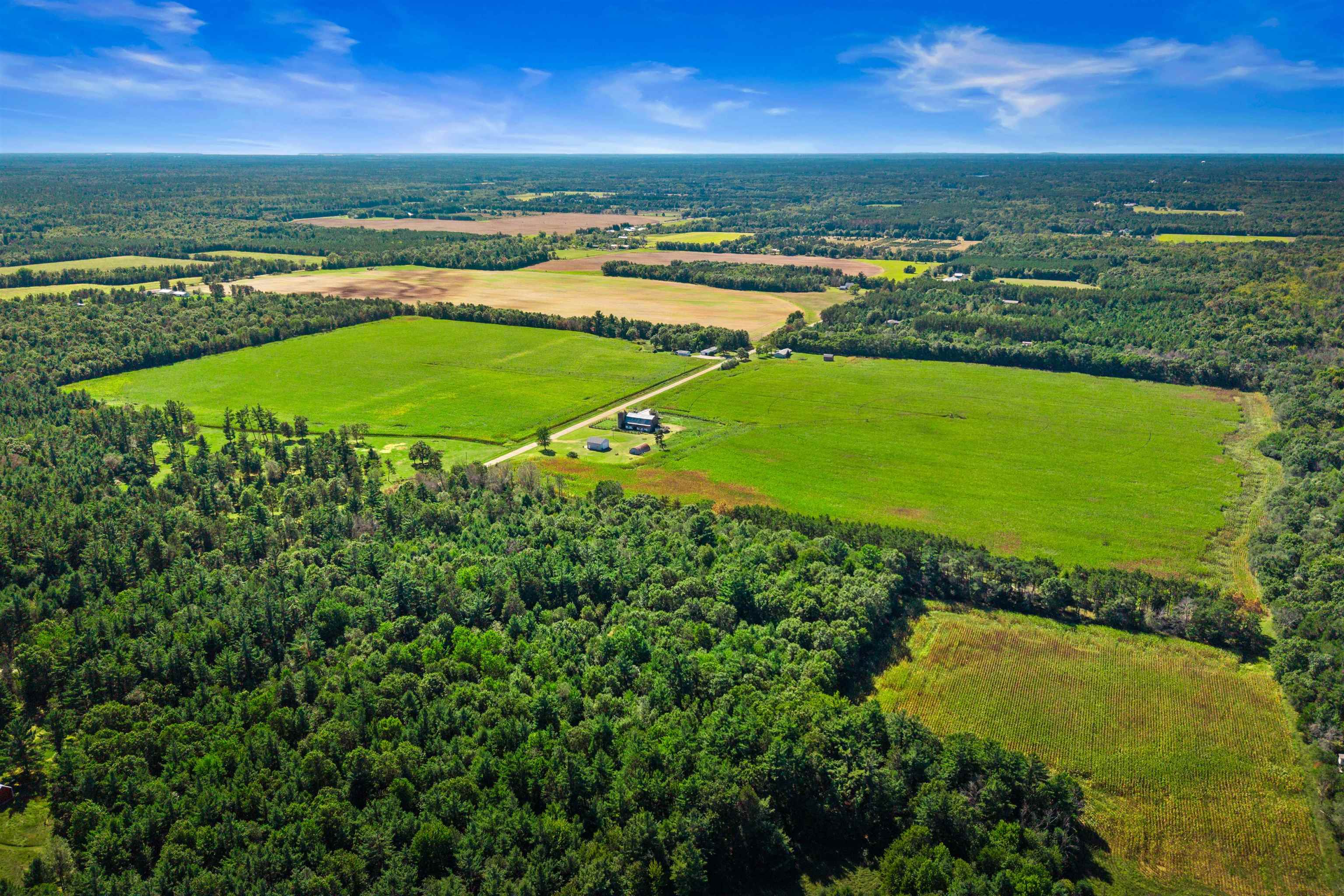 13.95 Acres Mol Grant Street Property Photo 10