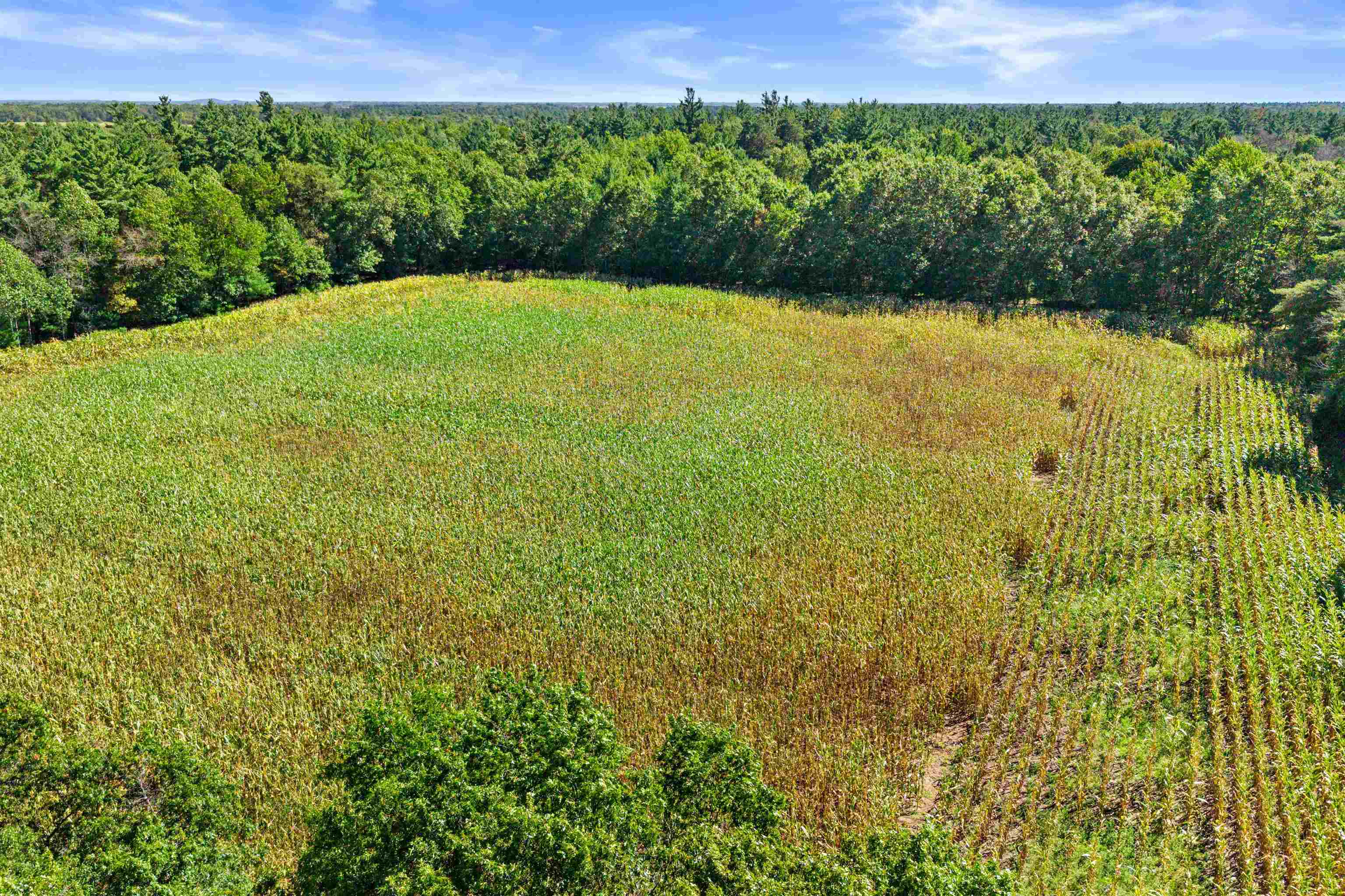 12.91 Acres Mol Grant Street Property Photo 5