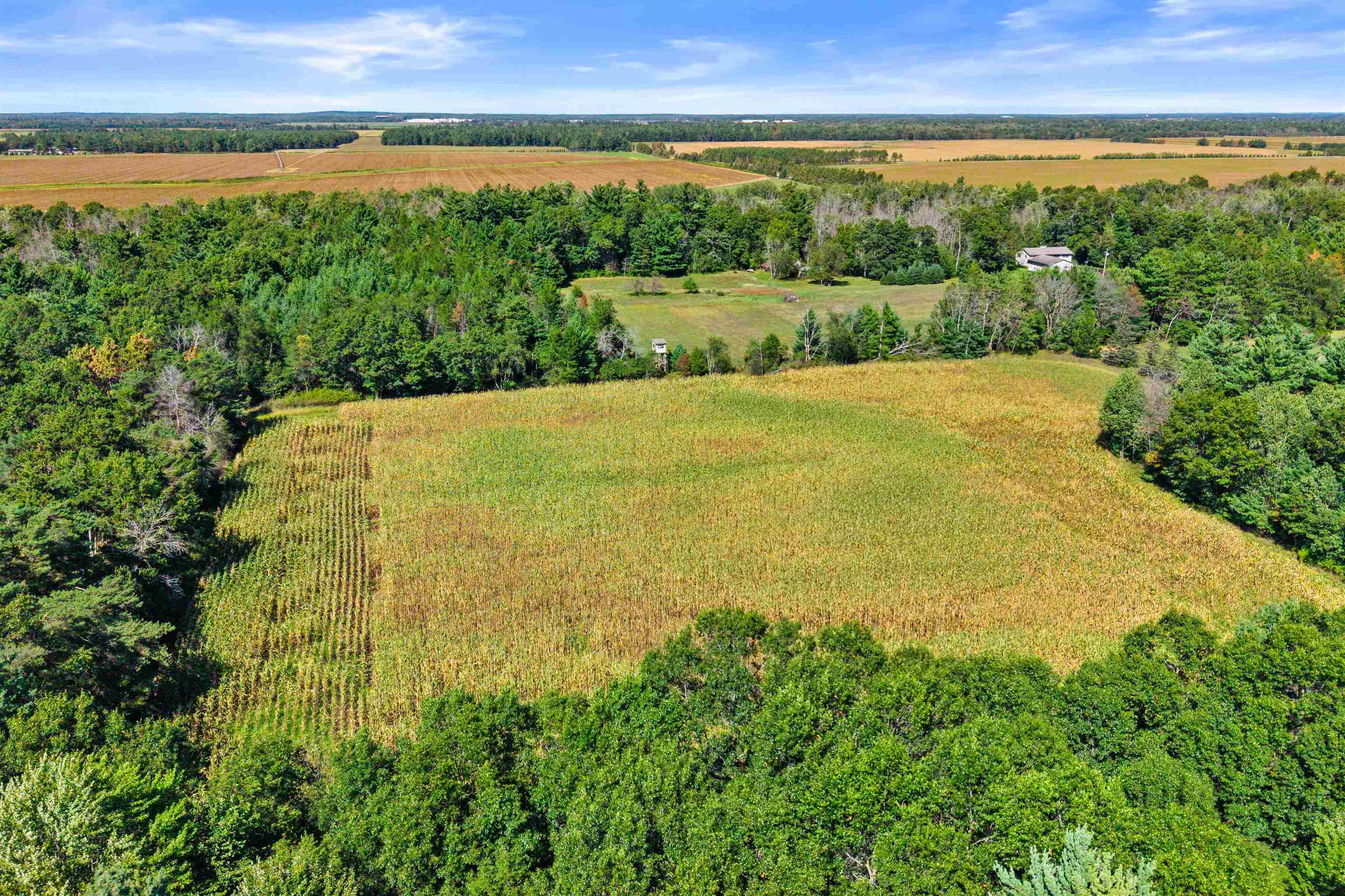 12.91 Acres Mol Grant Street Property Photo 6