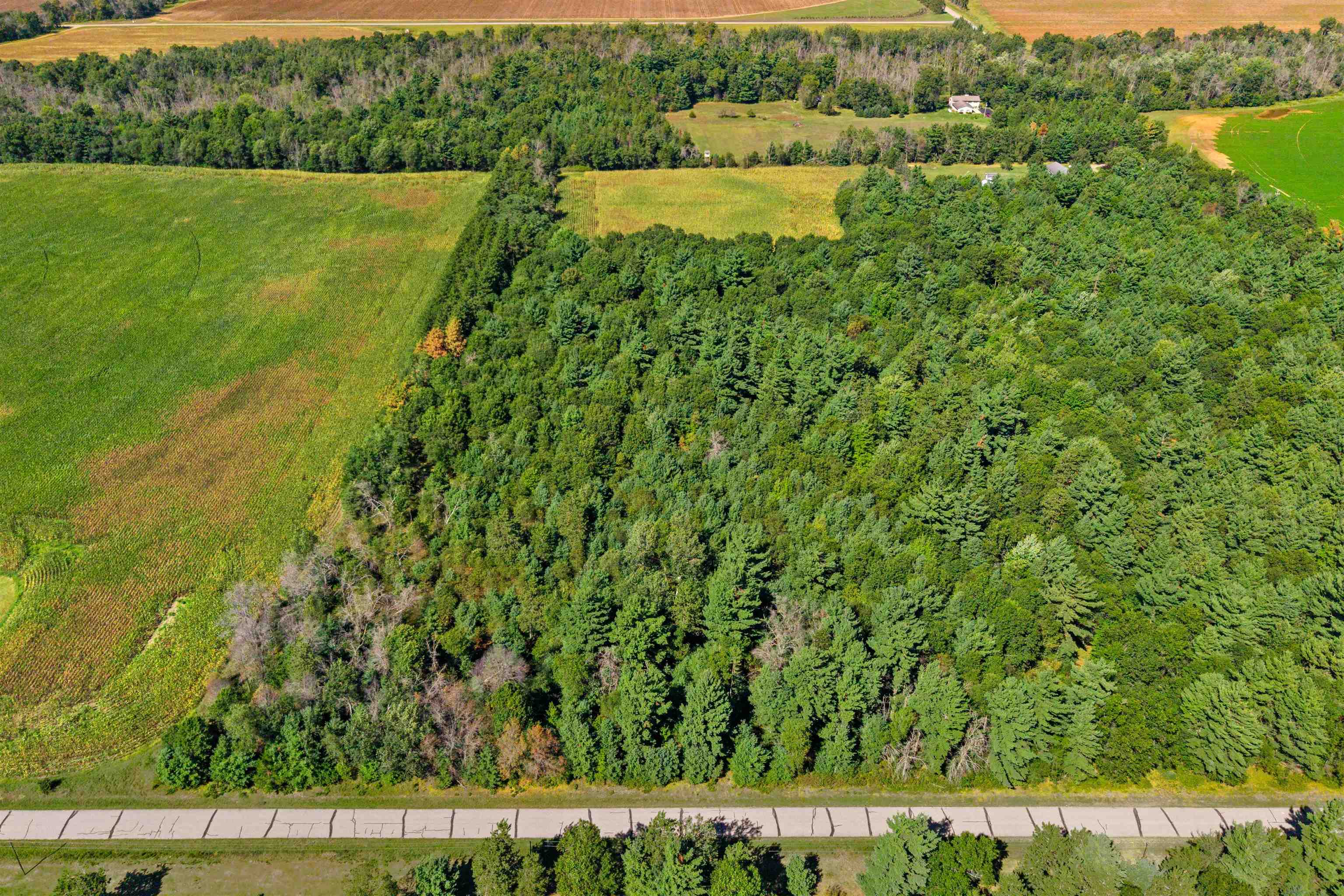 12.91 Acres Mol Grant Street Property Photo 7