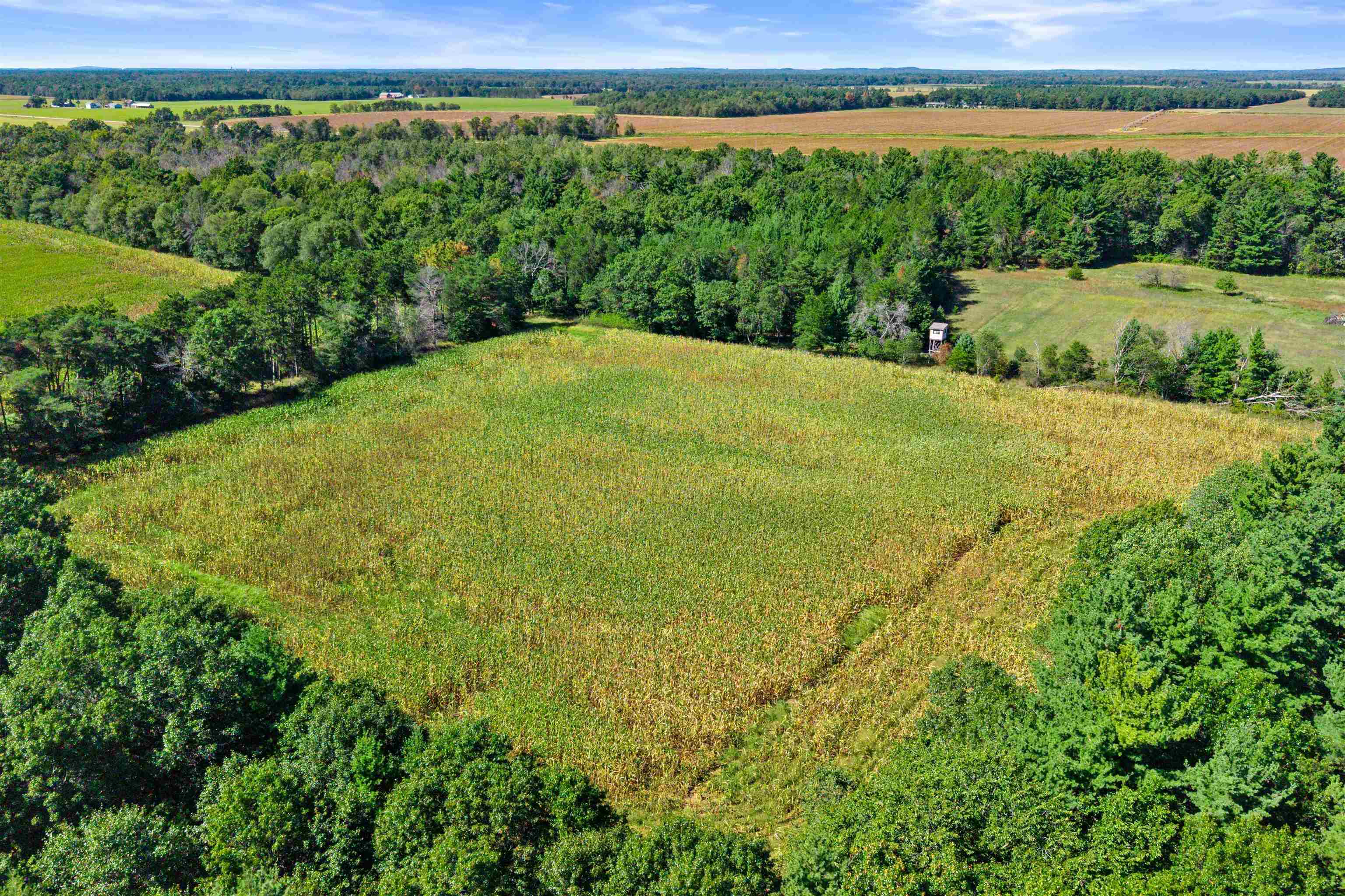 12.91 Acres Mol Grant Street Property Photo 8