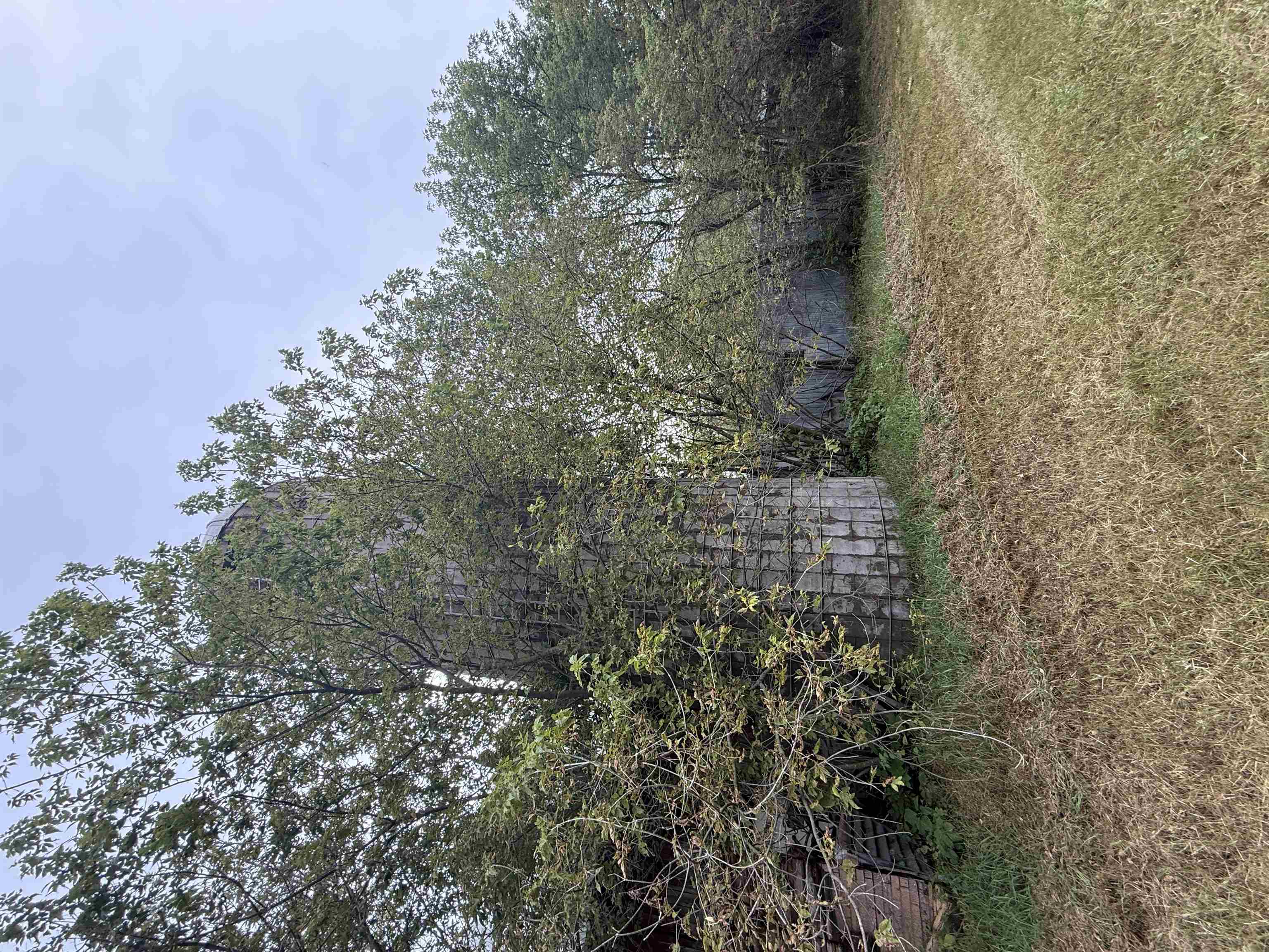 205477 Depot Road Property Photo 4