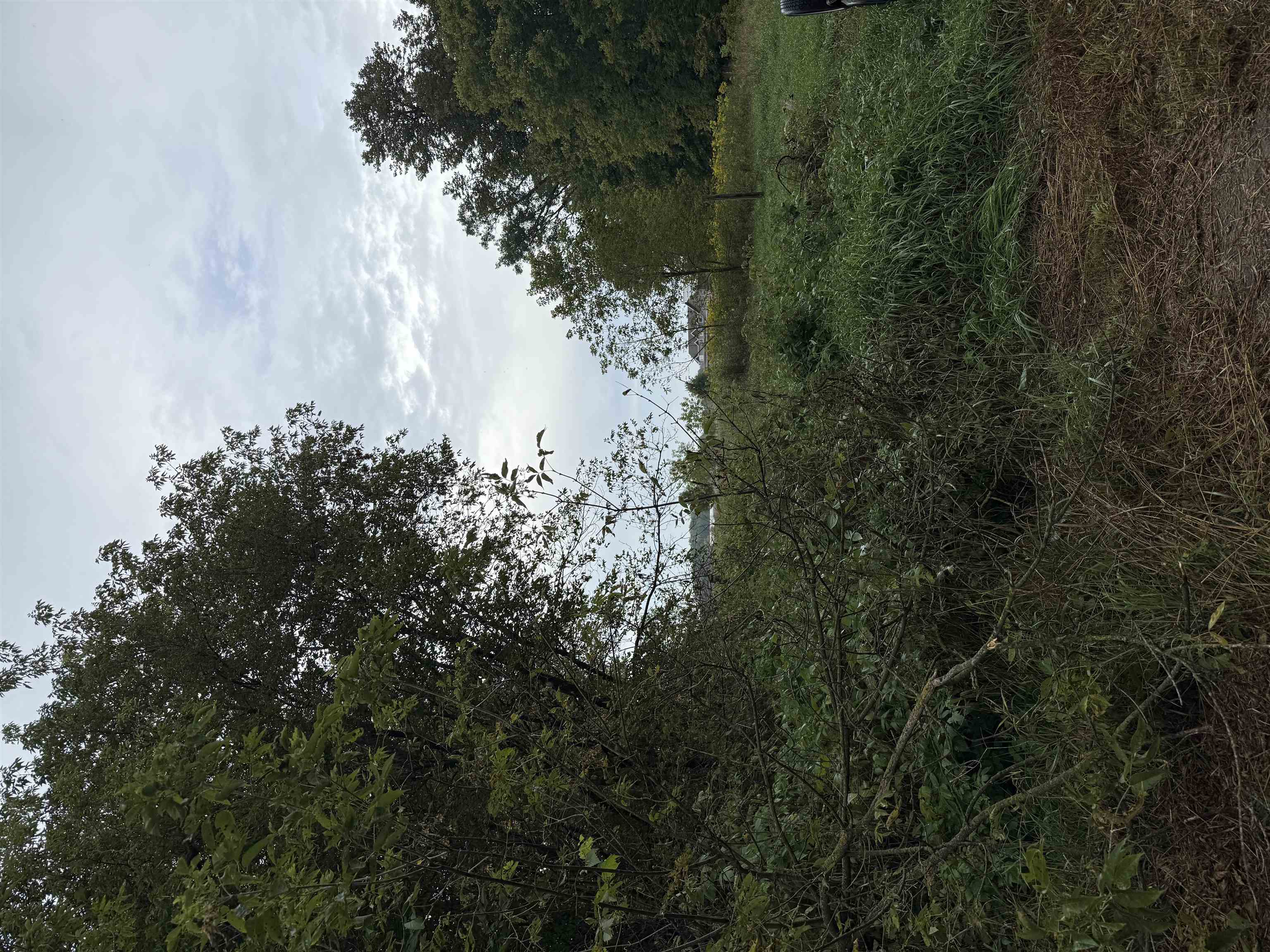 205477 Depot Road Property Photo 9