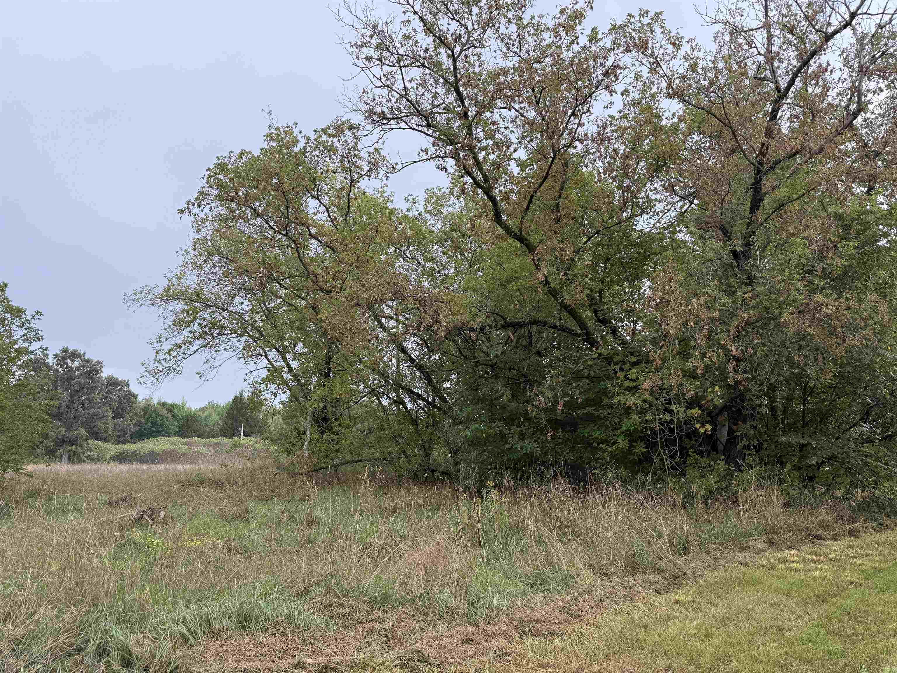 205477 Depot Road Property Photo 10