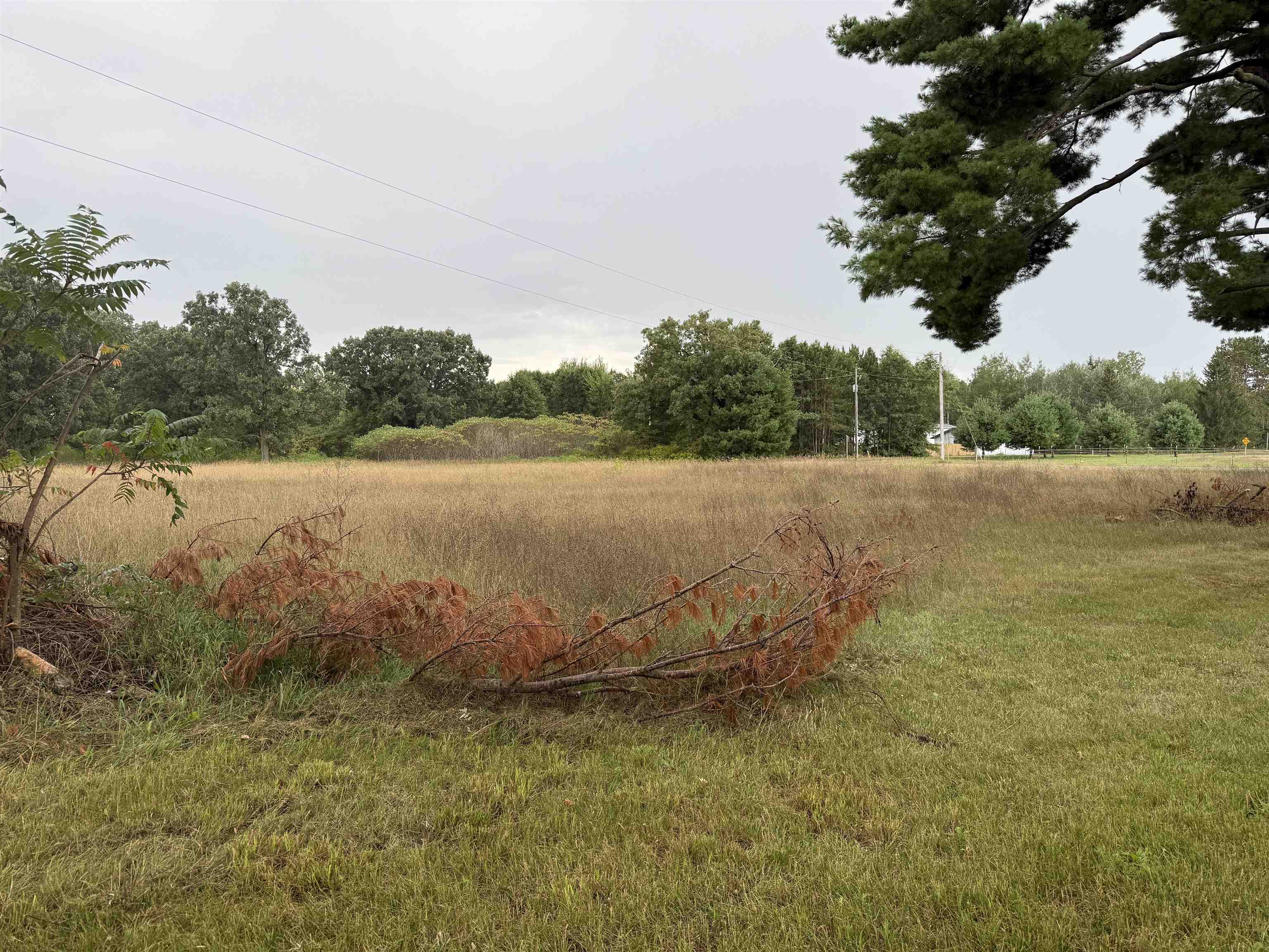 205477 Depot Road Property Photo 15