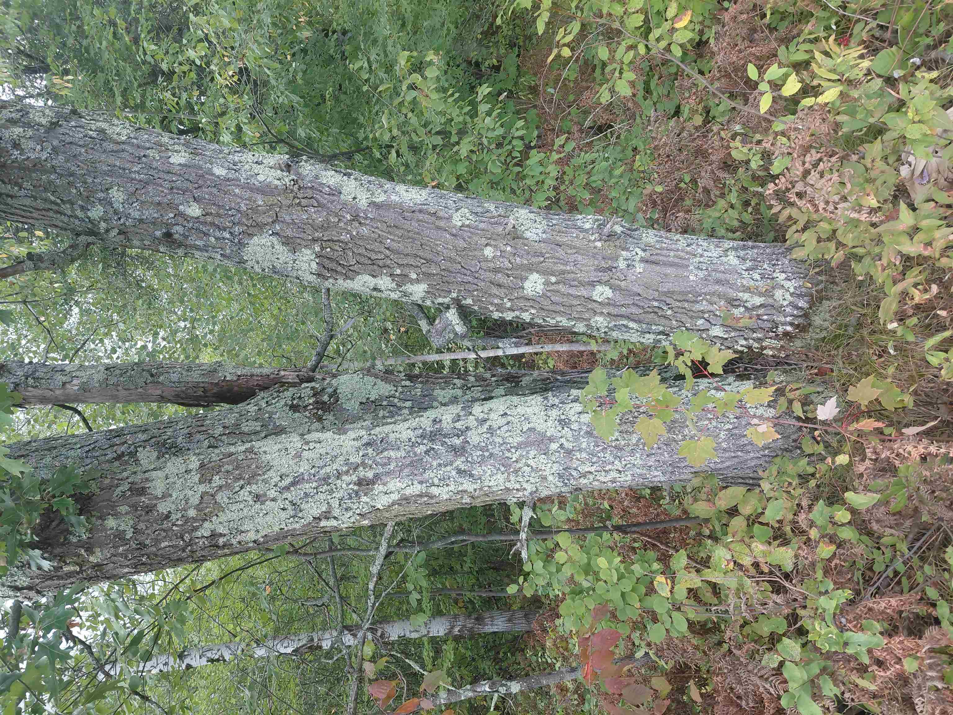 On Us Highway 8 Property Photo 4