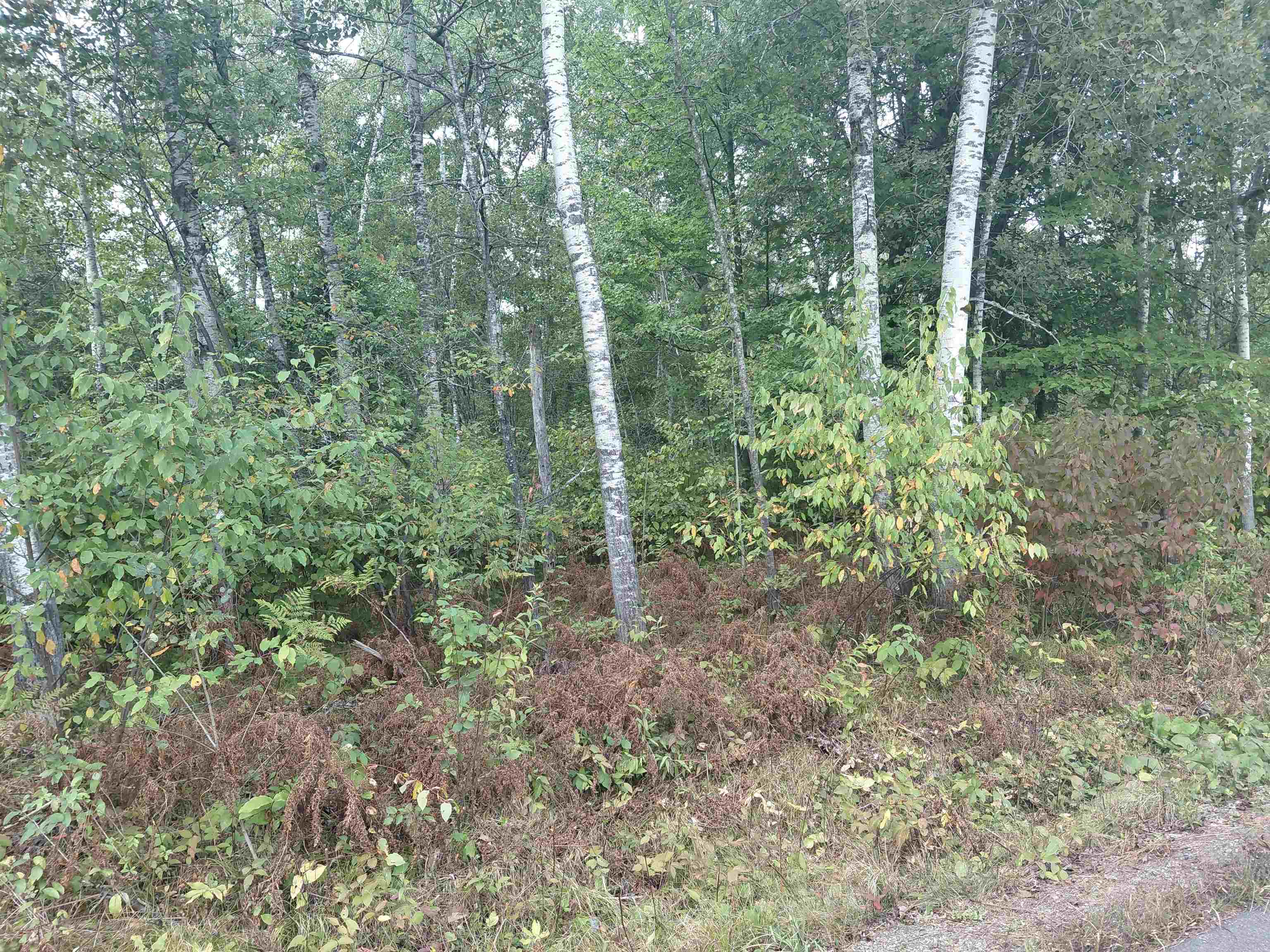 On Us Highway 8 Property Photo 5