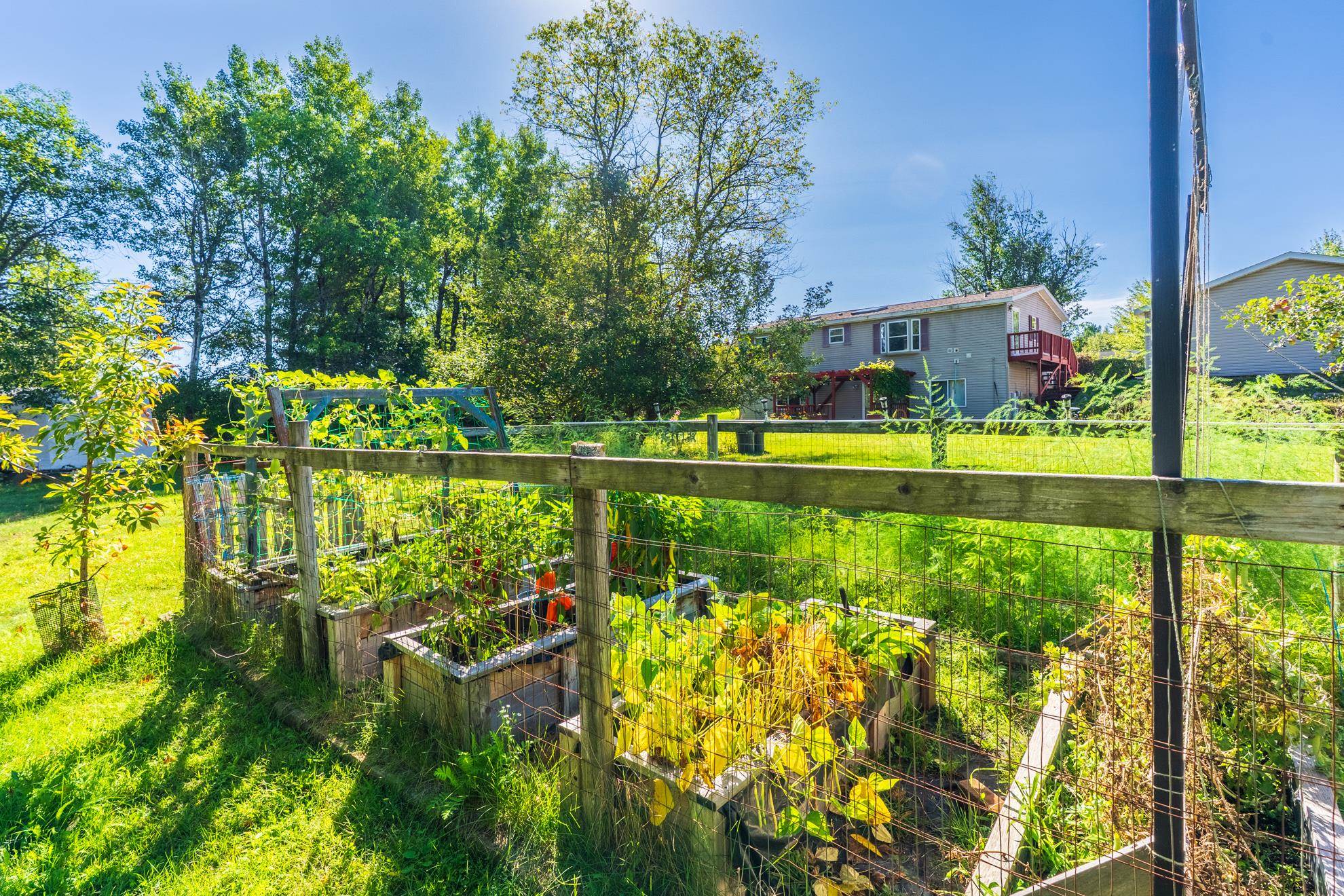 1703 Cedar Avenue Property Photo 39