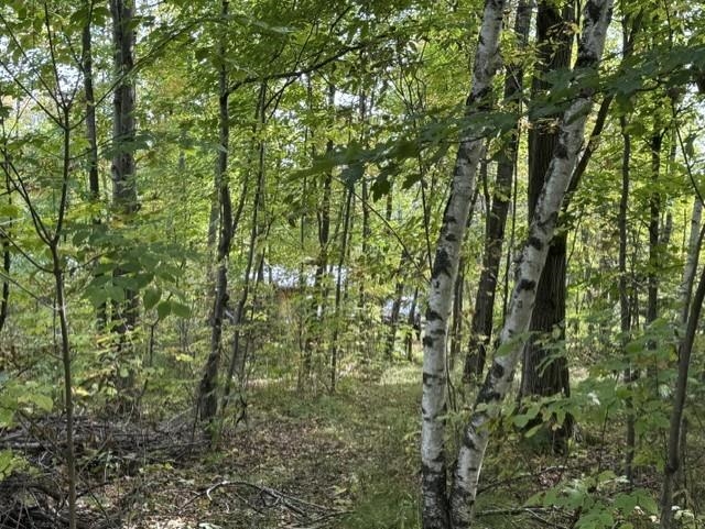 00 County Road K Property Photo 8