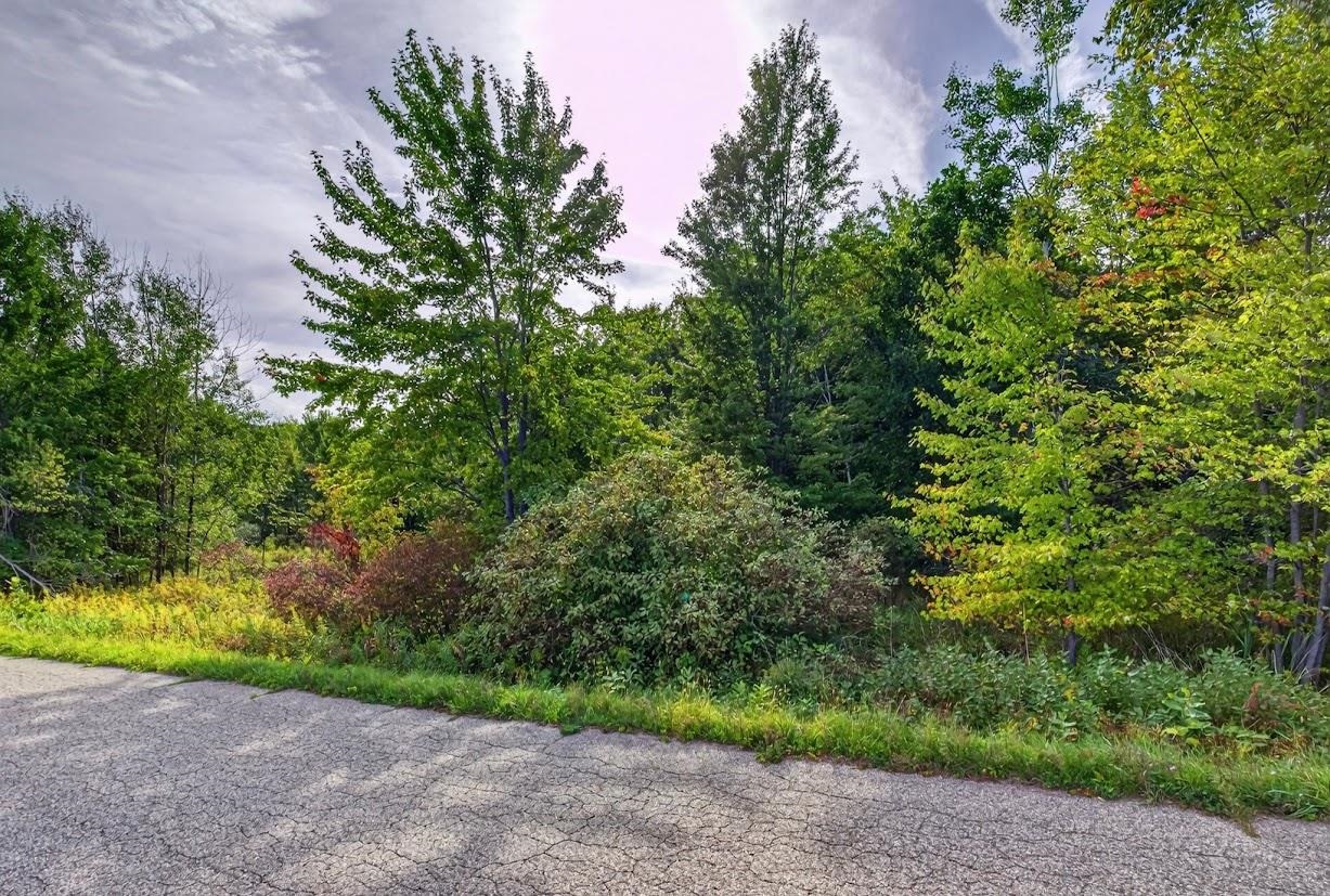 18.4 Acres Zubella Road Property Photo 4
