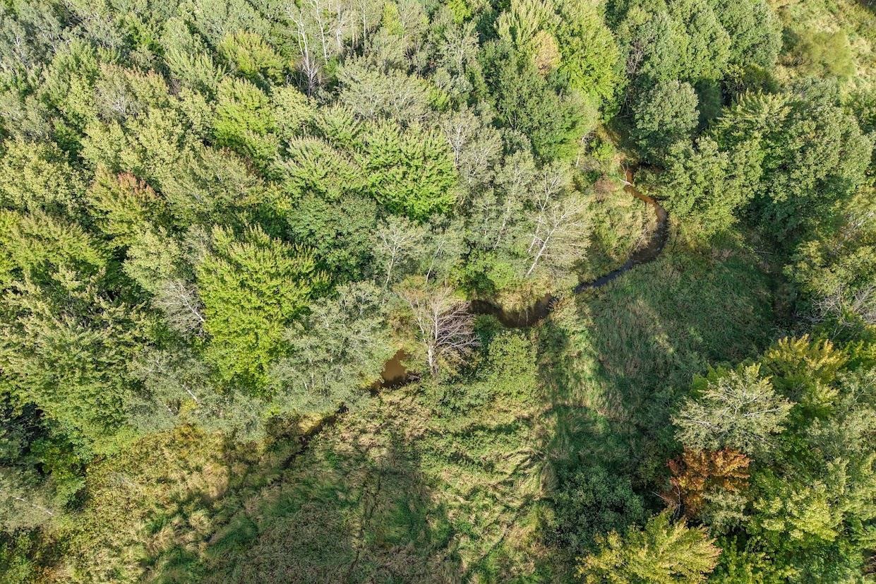 18.4 Acres Zubella Road Property Photo 5