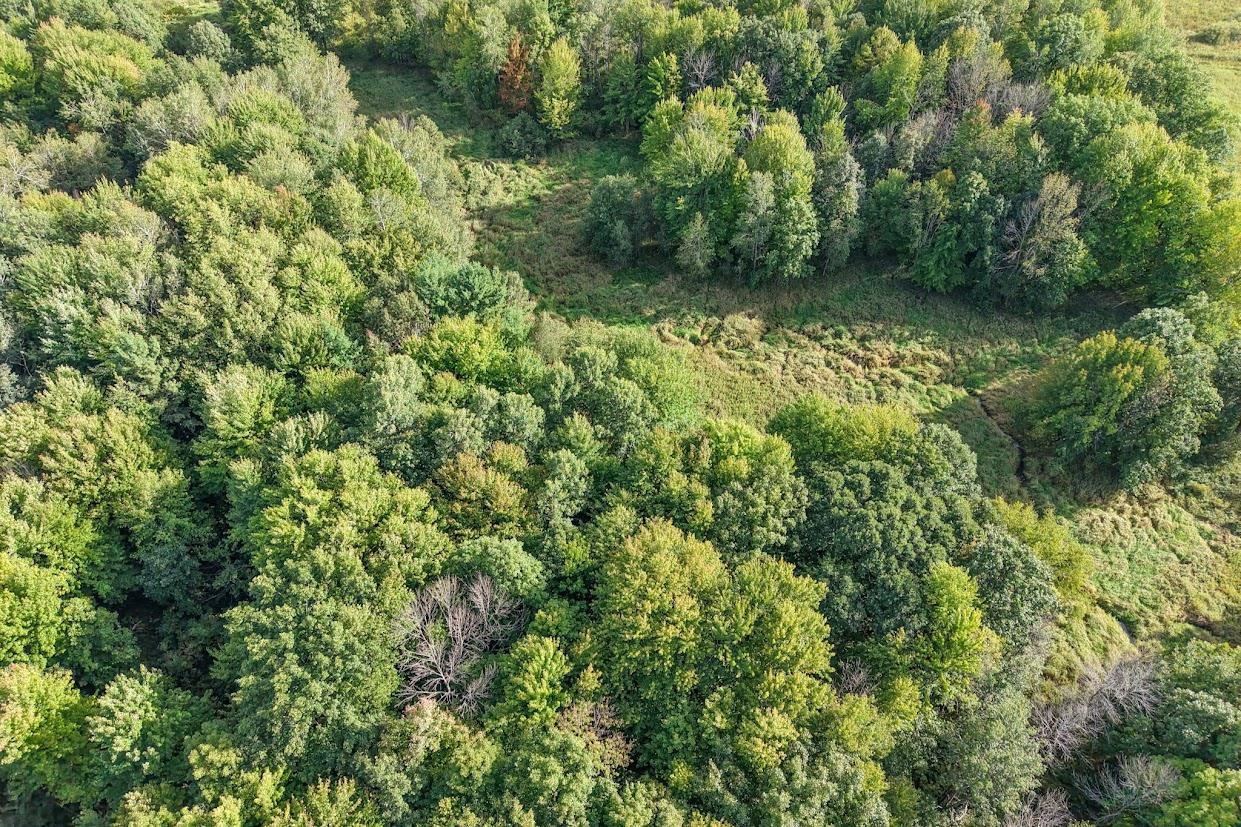 18.4 Acres Zubella Road Property Photo 6