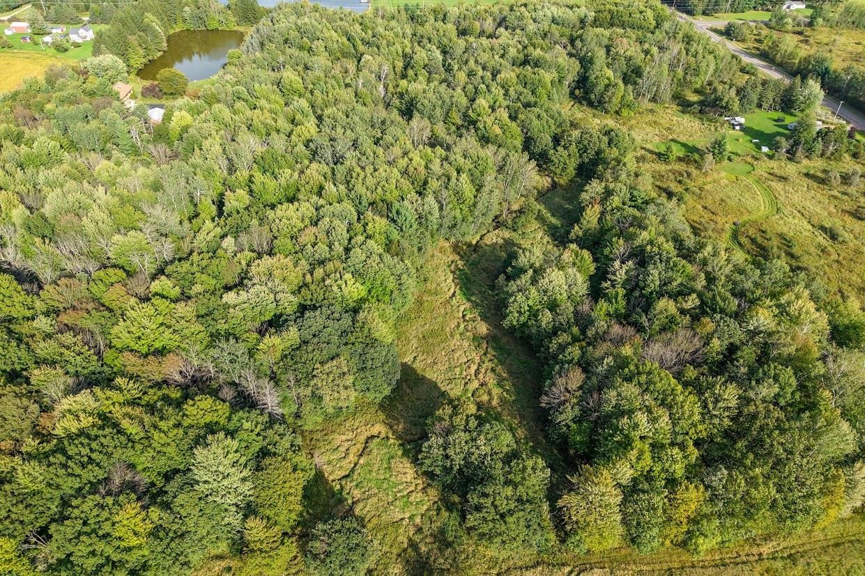 18.4 Acres Zubella Road Property Photo 7