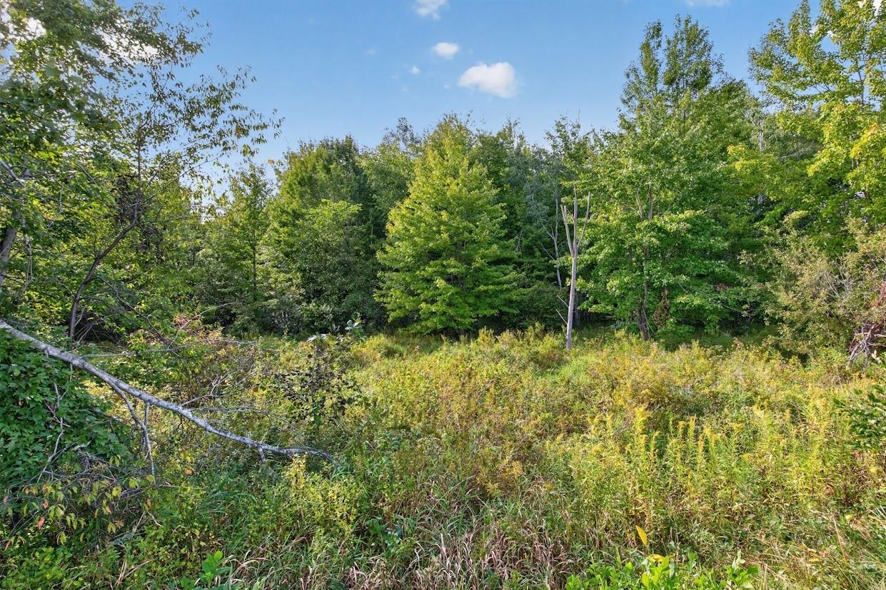 18.4 Acres Zubella Road Property Photo 9